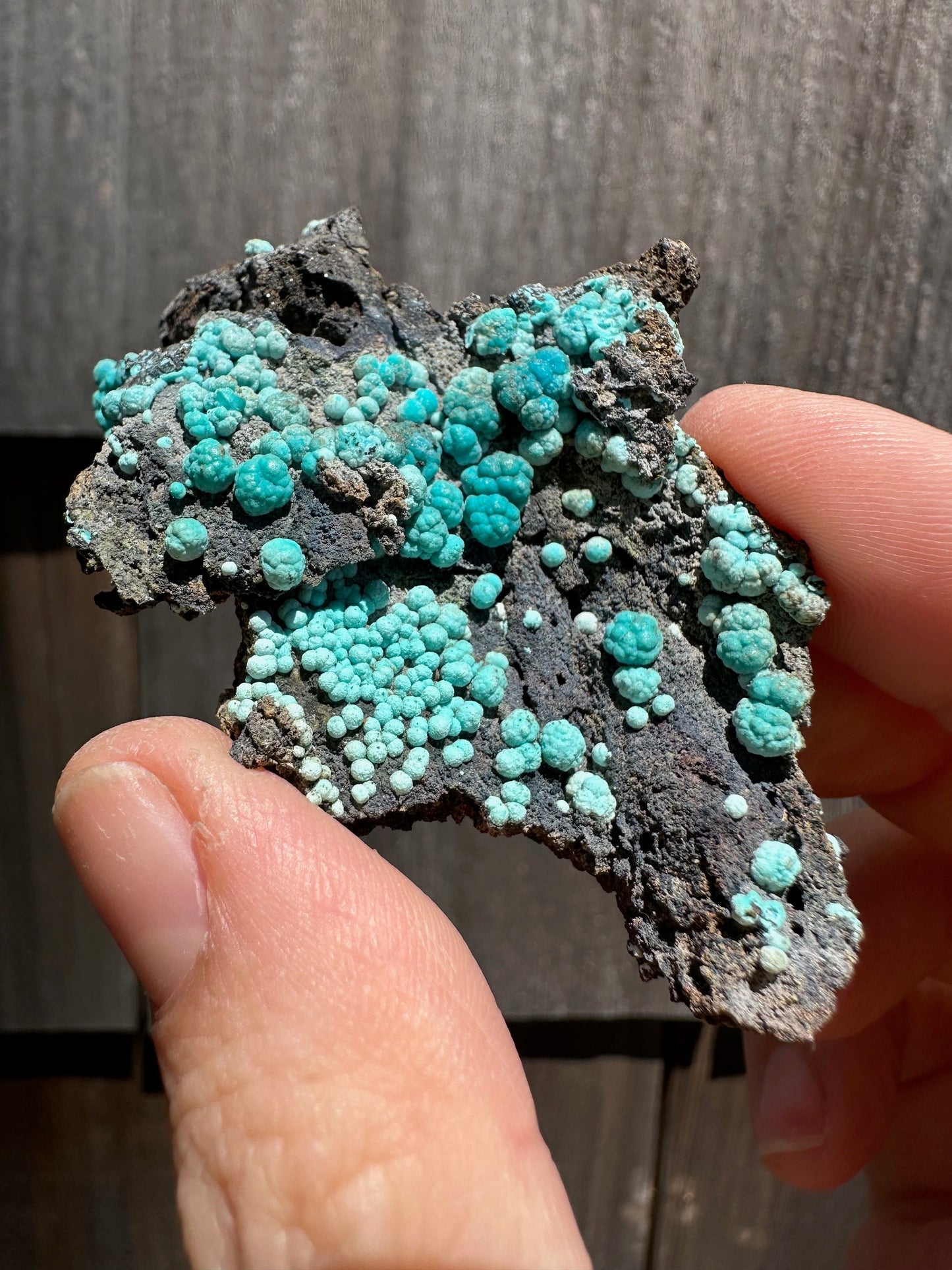 Chrysocolla on Matrix from Planet Mine Arizona USA