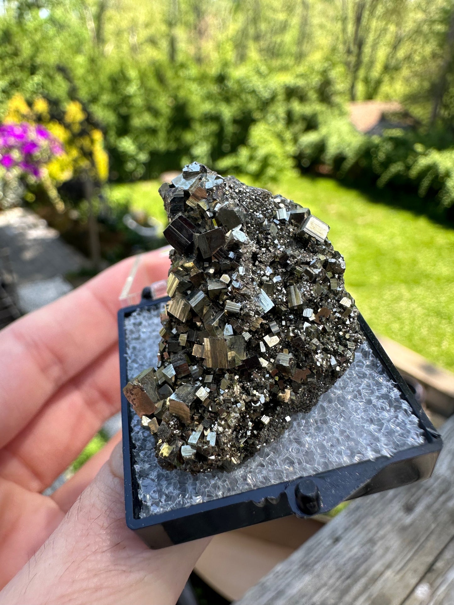 Pyrite Crystal Cluster from Eagle Mine Colorado USA