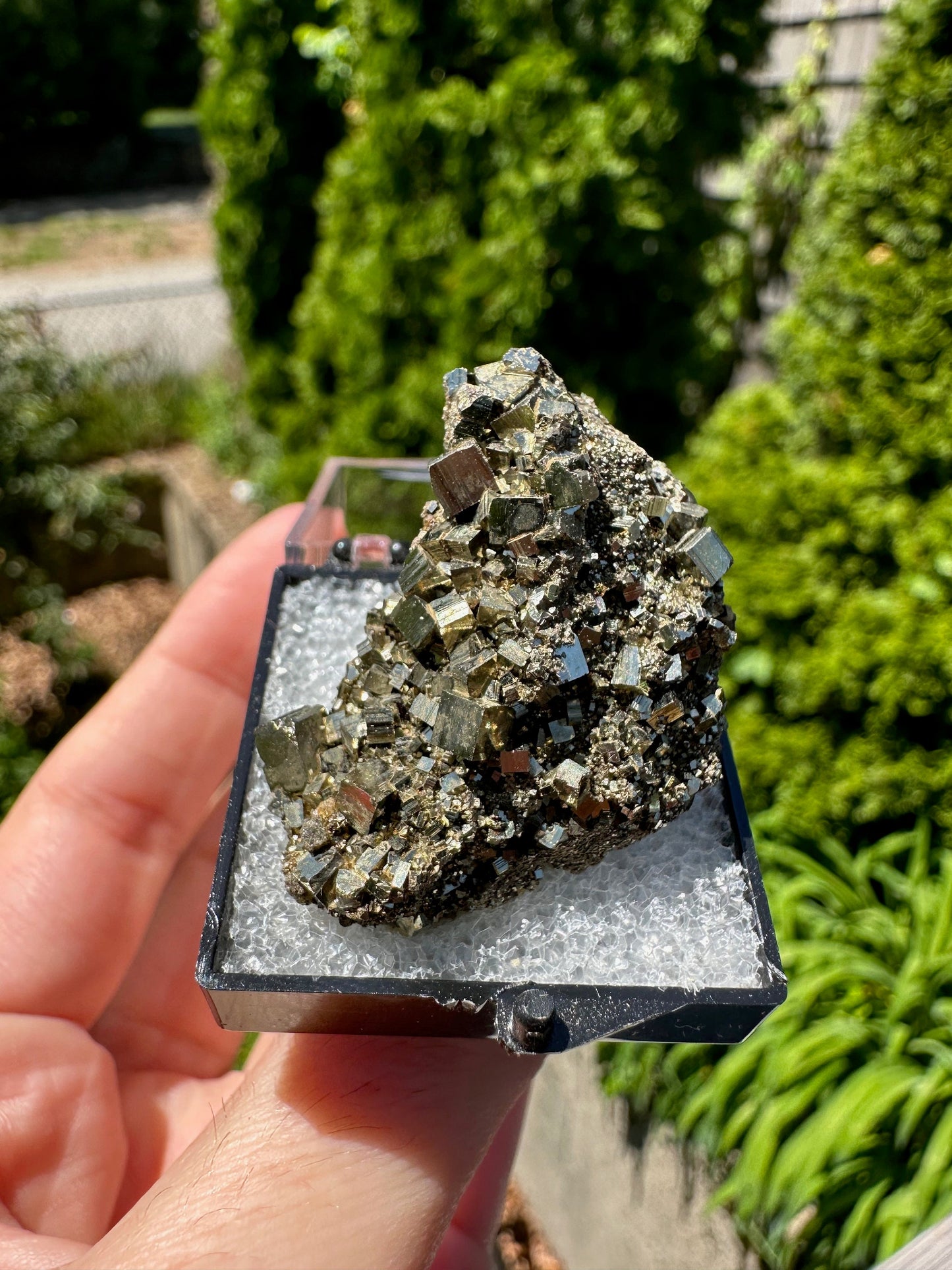 Pyrite Crystal Cluster from Eagle Mine Colorado USA
