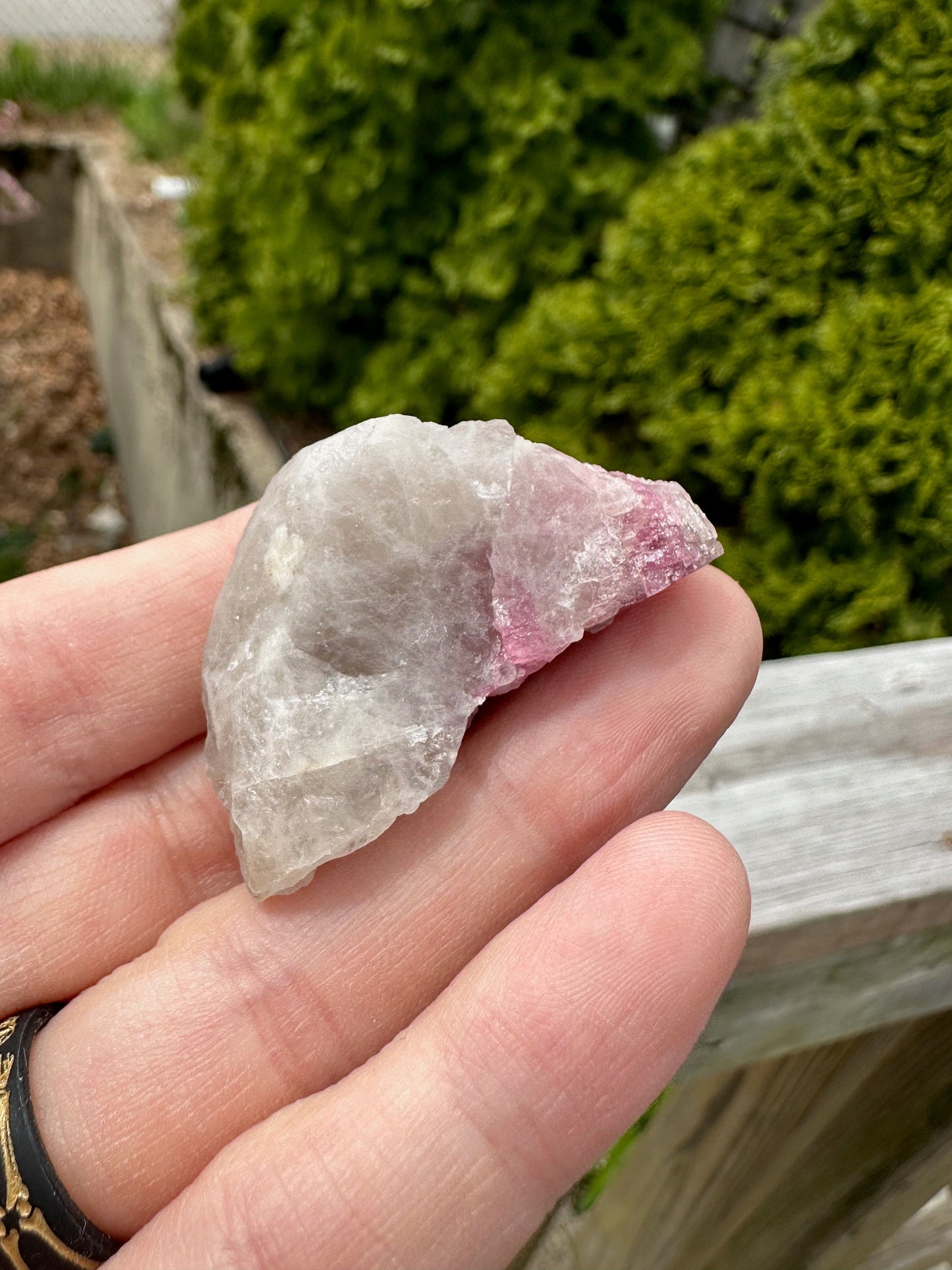 Rubellite Tourmaline in Quartz from Brazil