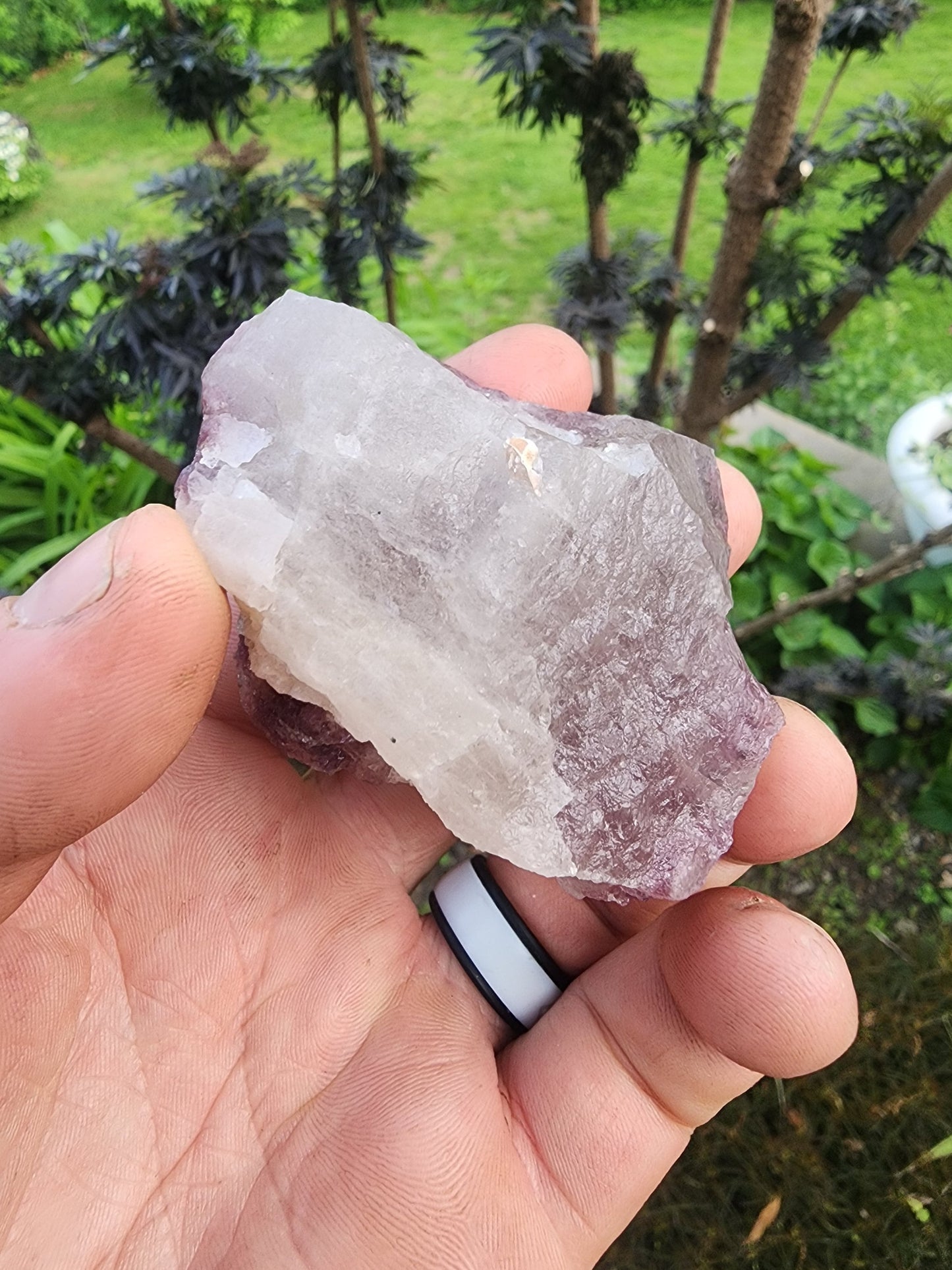 Tourmaline with Lepidolite in Quartz from Minas Gerais, Brazil
