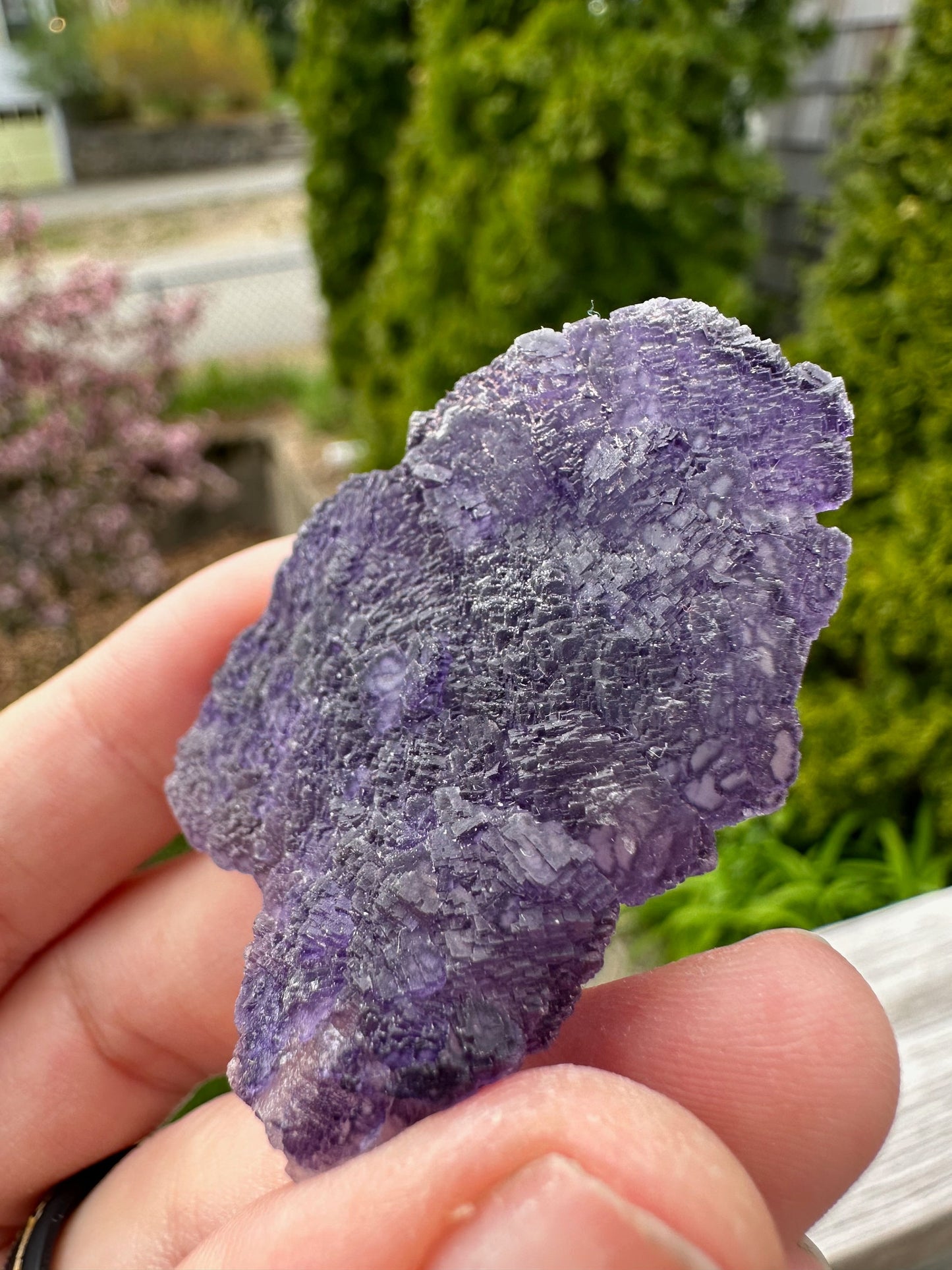Purple Edge Fluorite Crystal Cluster from Qinglong China