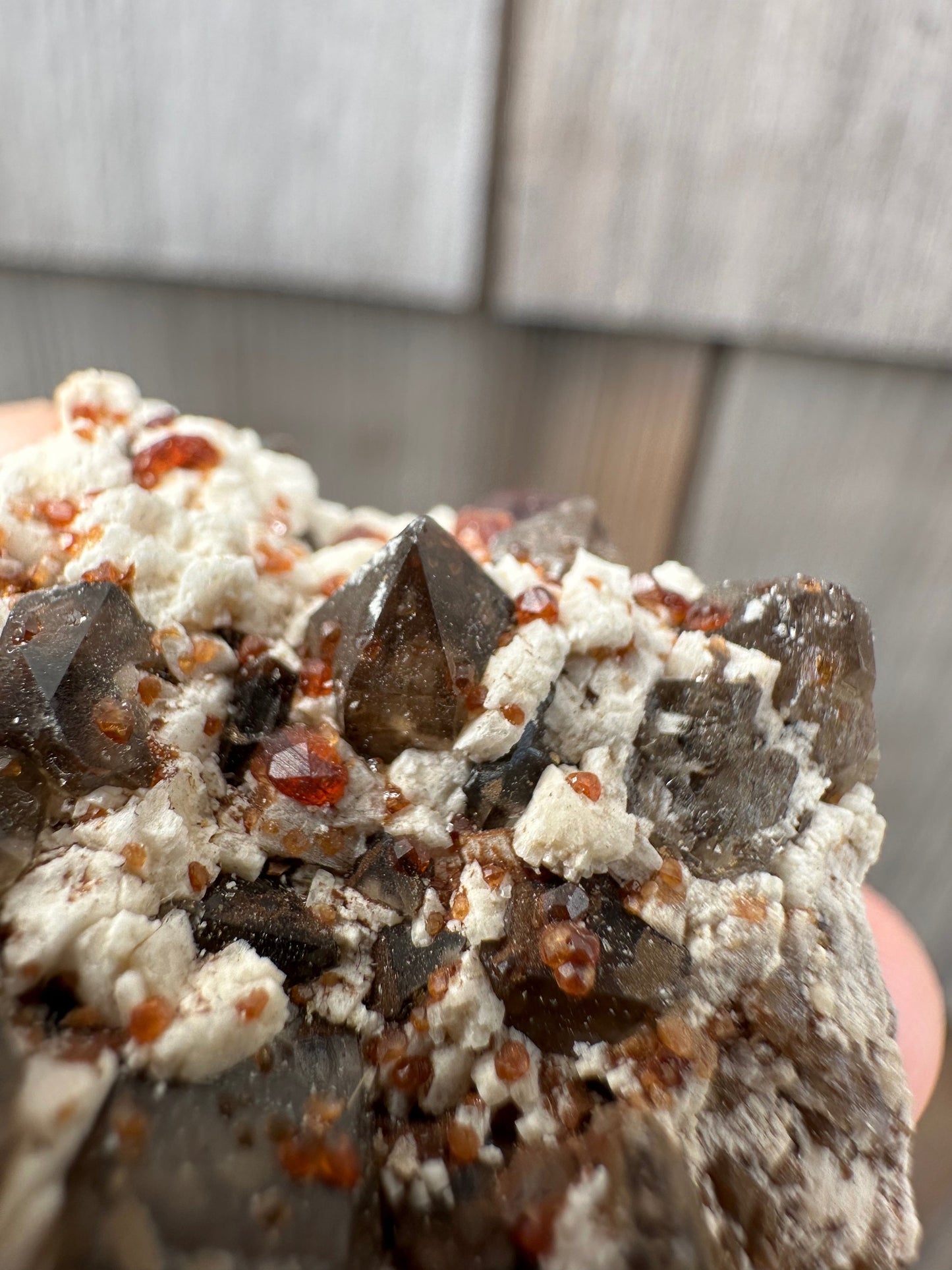 Spessartine Garnets on and in Smoky Quartz on Matrix from China