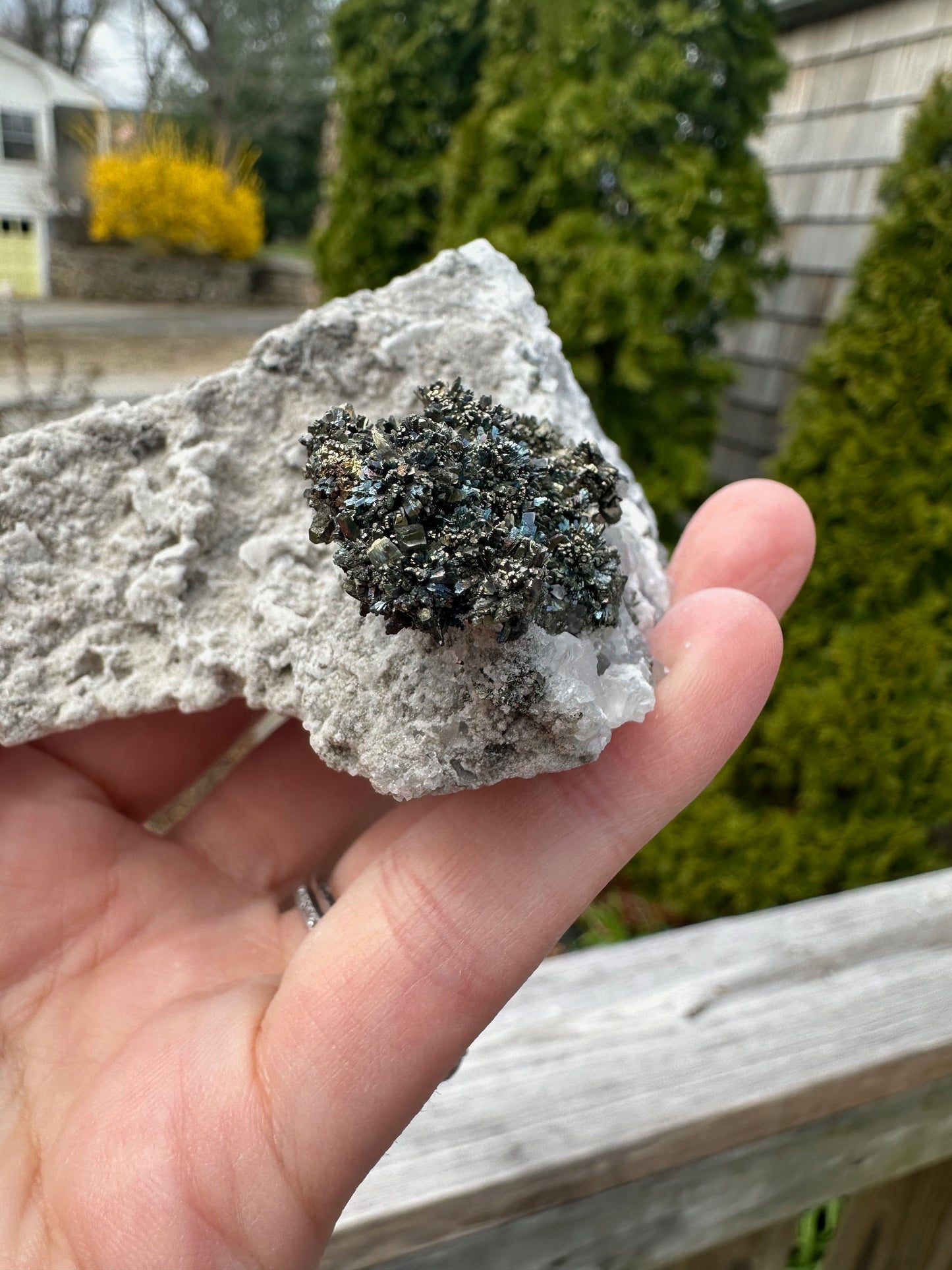 Iridescent Marcasite Crystals with Calcite from Linwood Mine Iowa USA