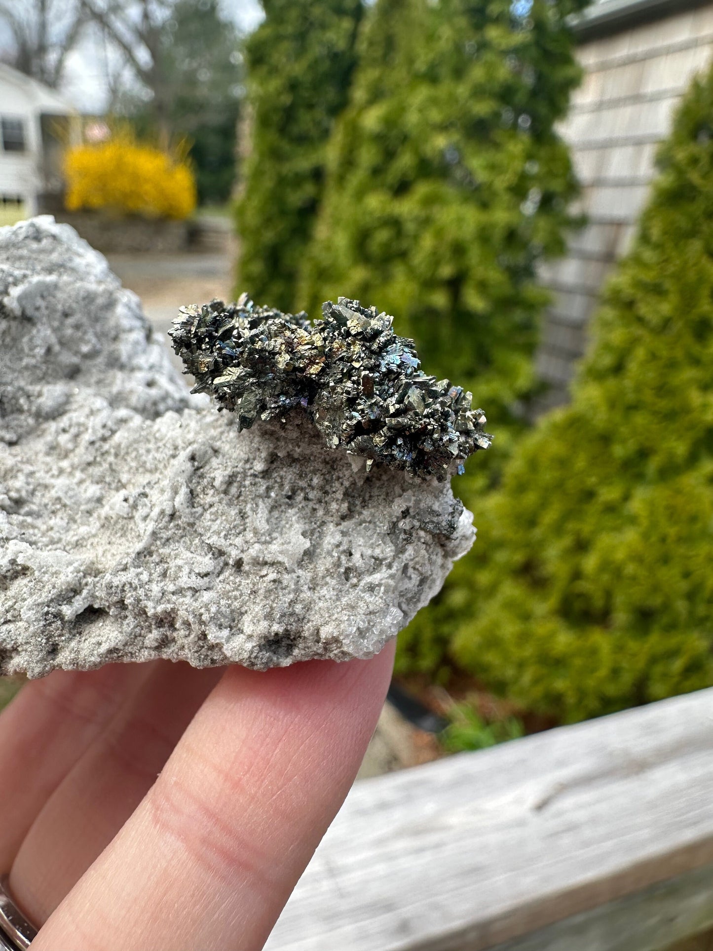 Iridescent Marcasite Crystals with Calcite from Linwood Mine Iowa USA