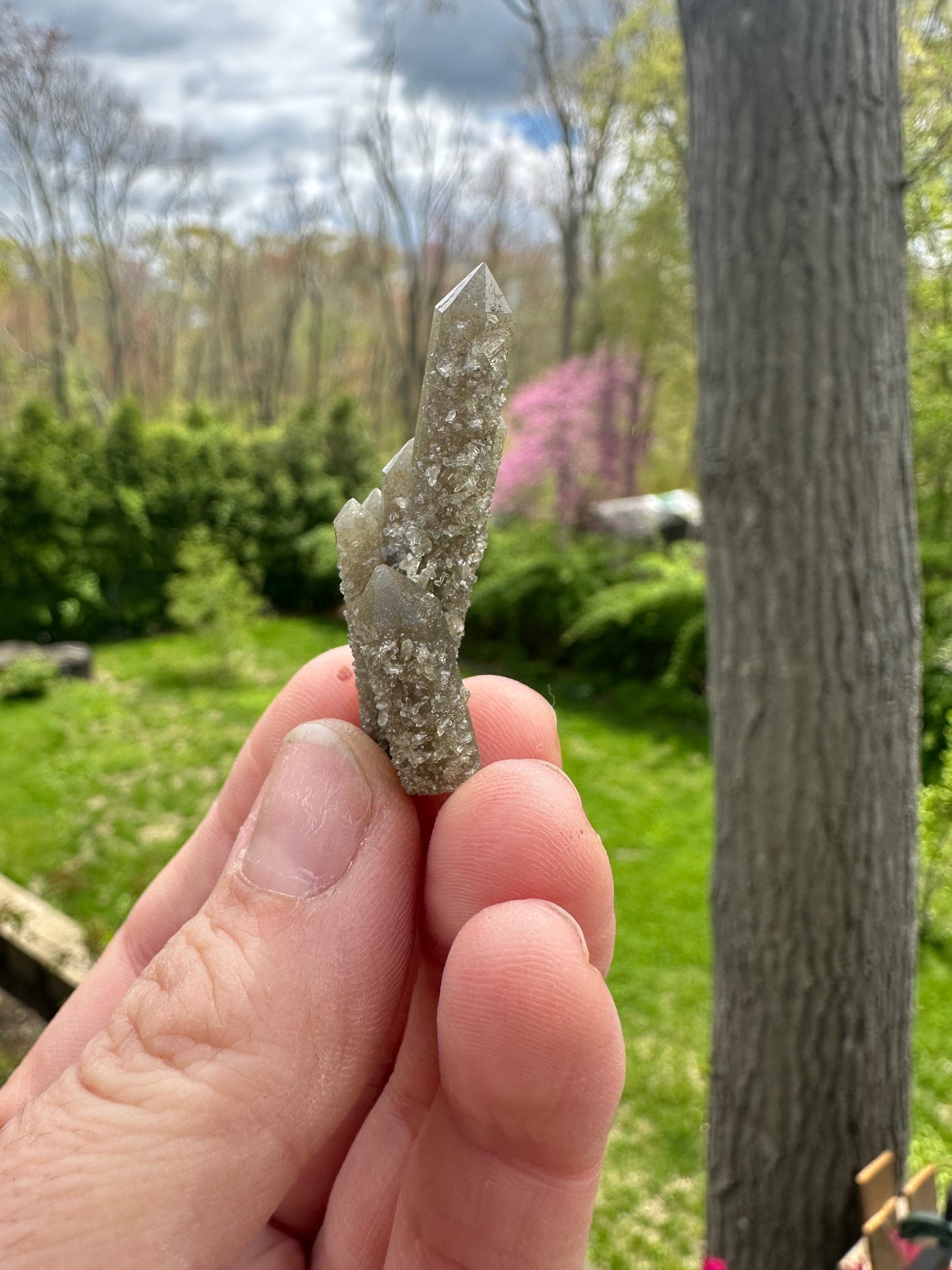 Hedenbergite in Quartz Cluster from Inner Mongolia