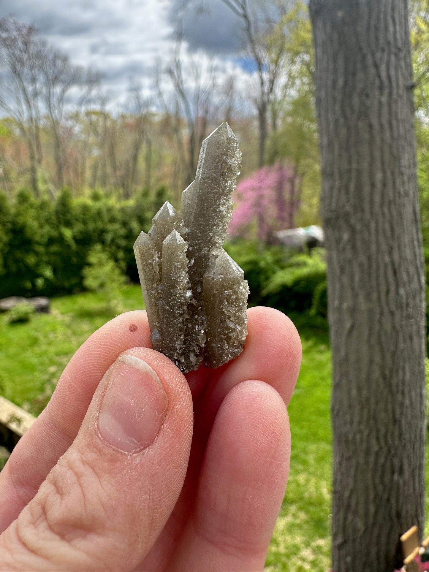 Hedenbergite in Quartz Cluster from Inner Mongolia
