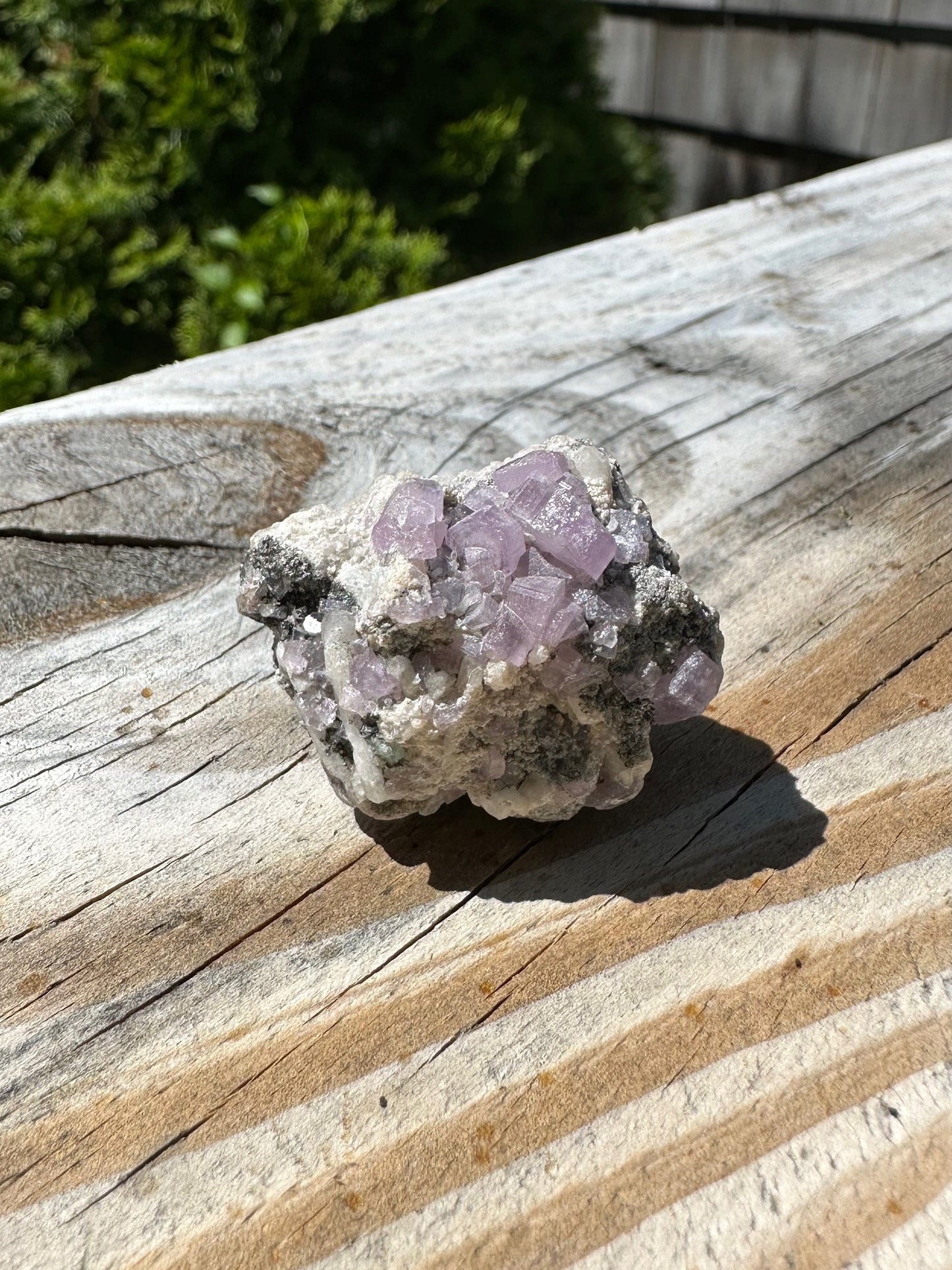 Purple Apatite Crystals on Matrix from Afghanistan