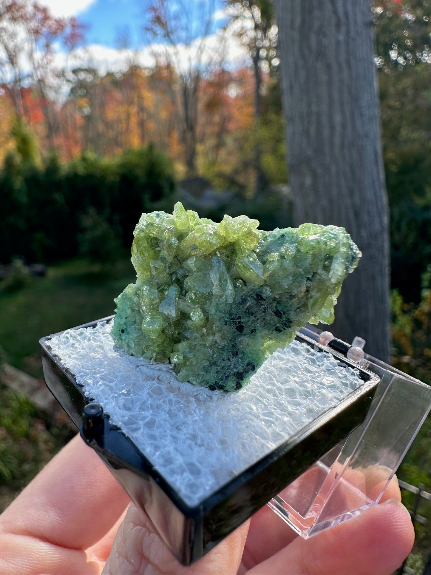 Vesuvianite Crystal Cluster from Jeffrey Mine Canada