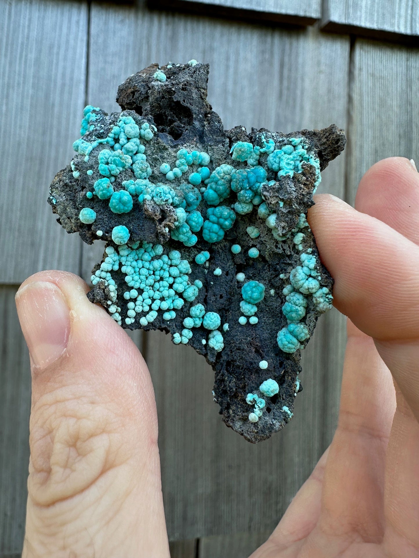 Chrysocolla on Matrix from Planet Mine Arizona USA