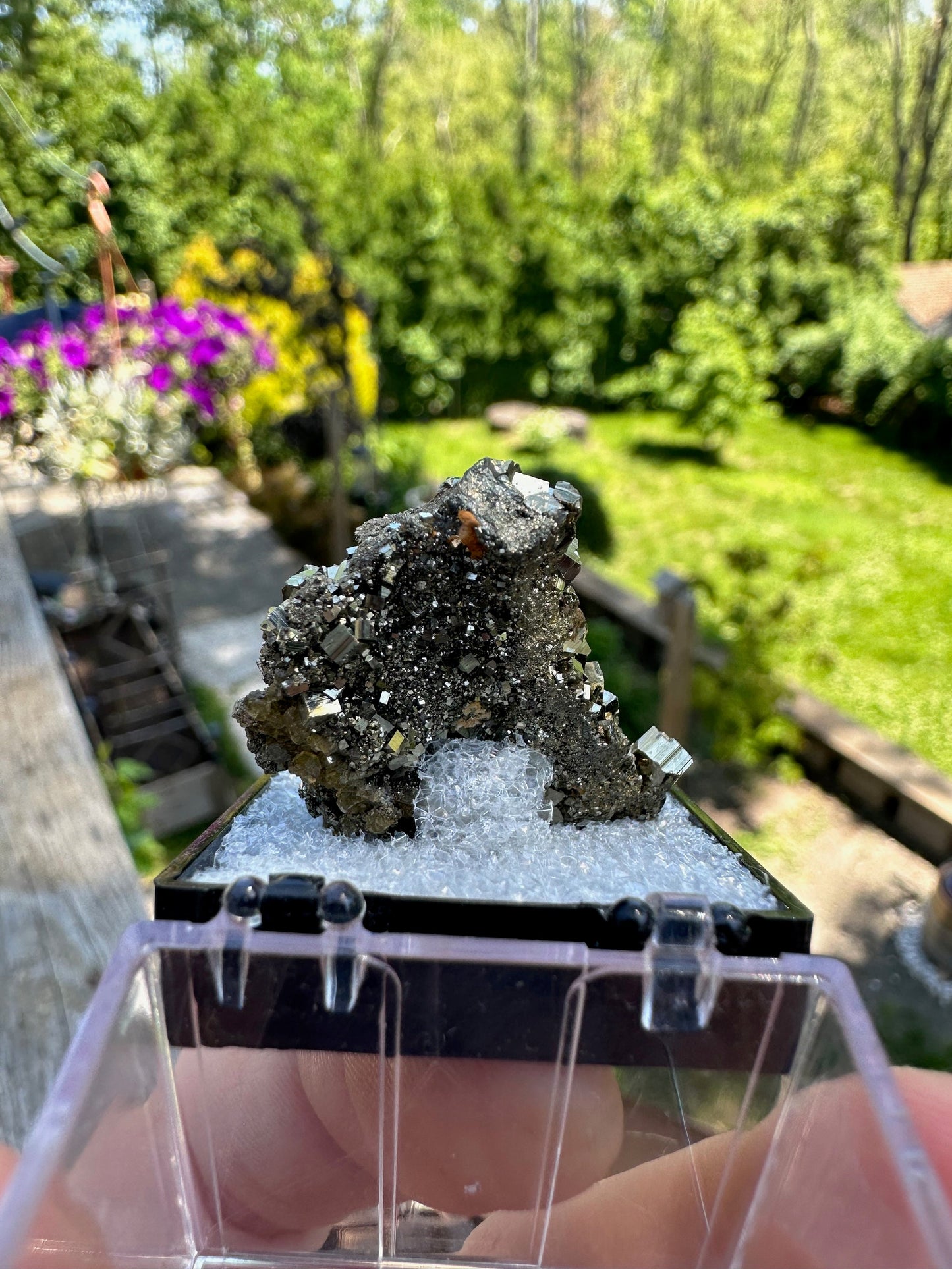 Pyrite Crystal Cluster from Eagle Mine Colorado USA