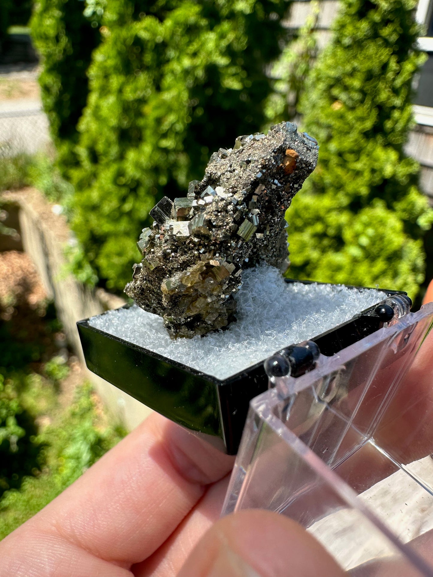Pyrite Crystal Cluster from Eagle Mine Colorado USA