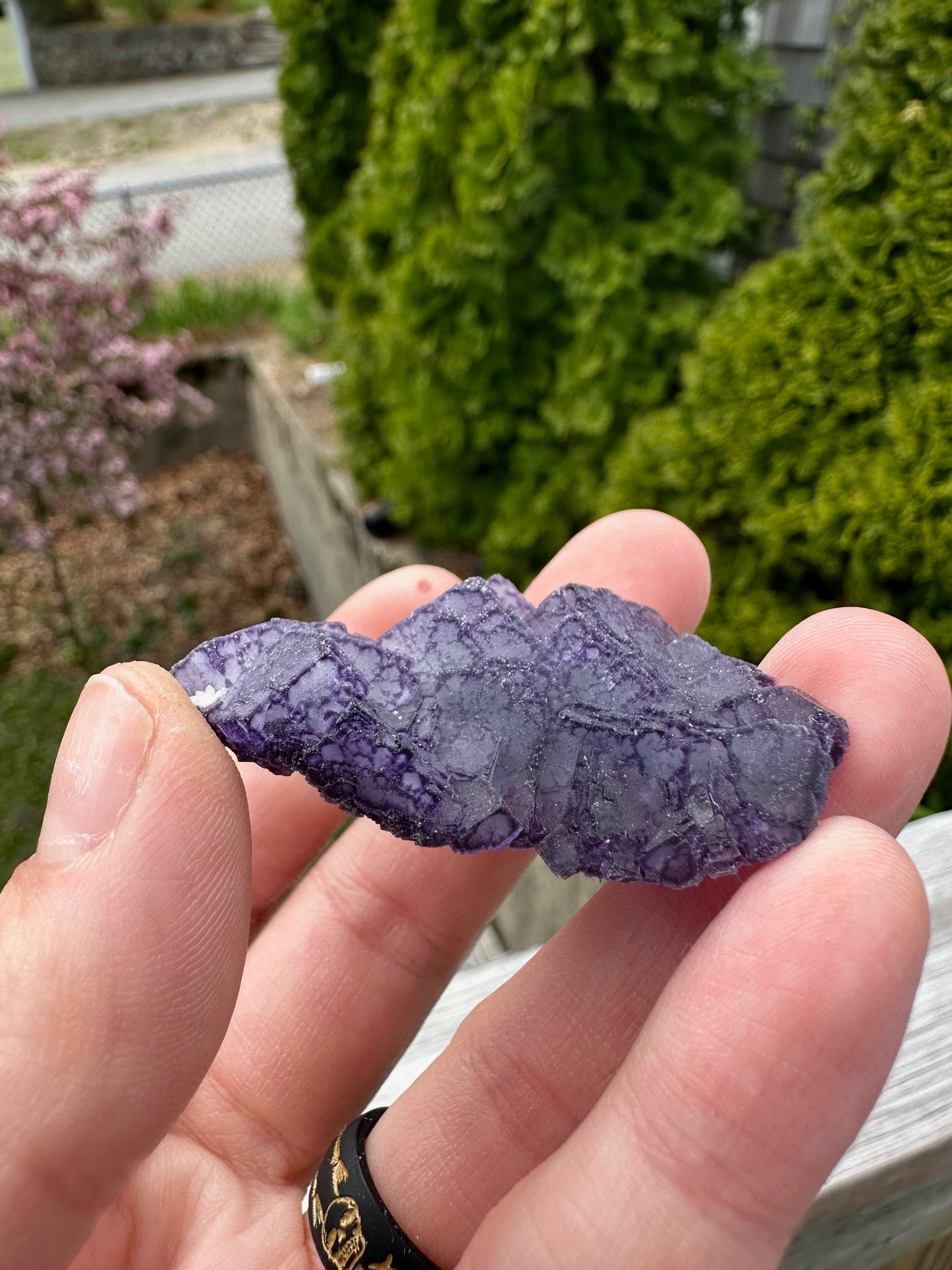 Purple Edge Fluorite Crystal Cluster from Qinglong China