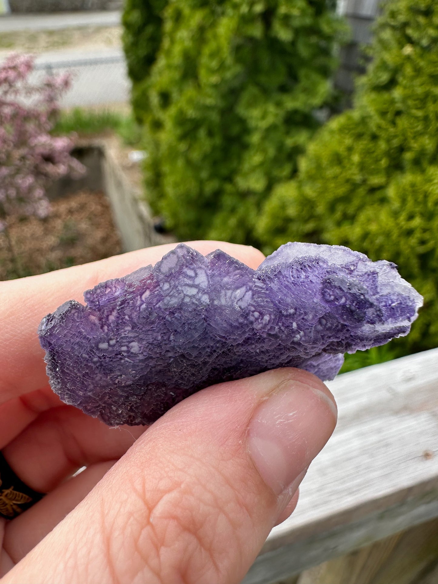 Purple Edge Fluorite Crystal Cluster from Qinglong China