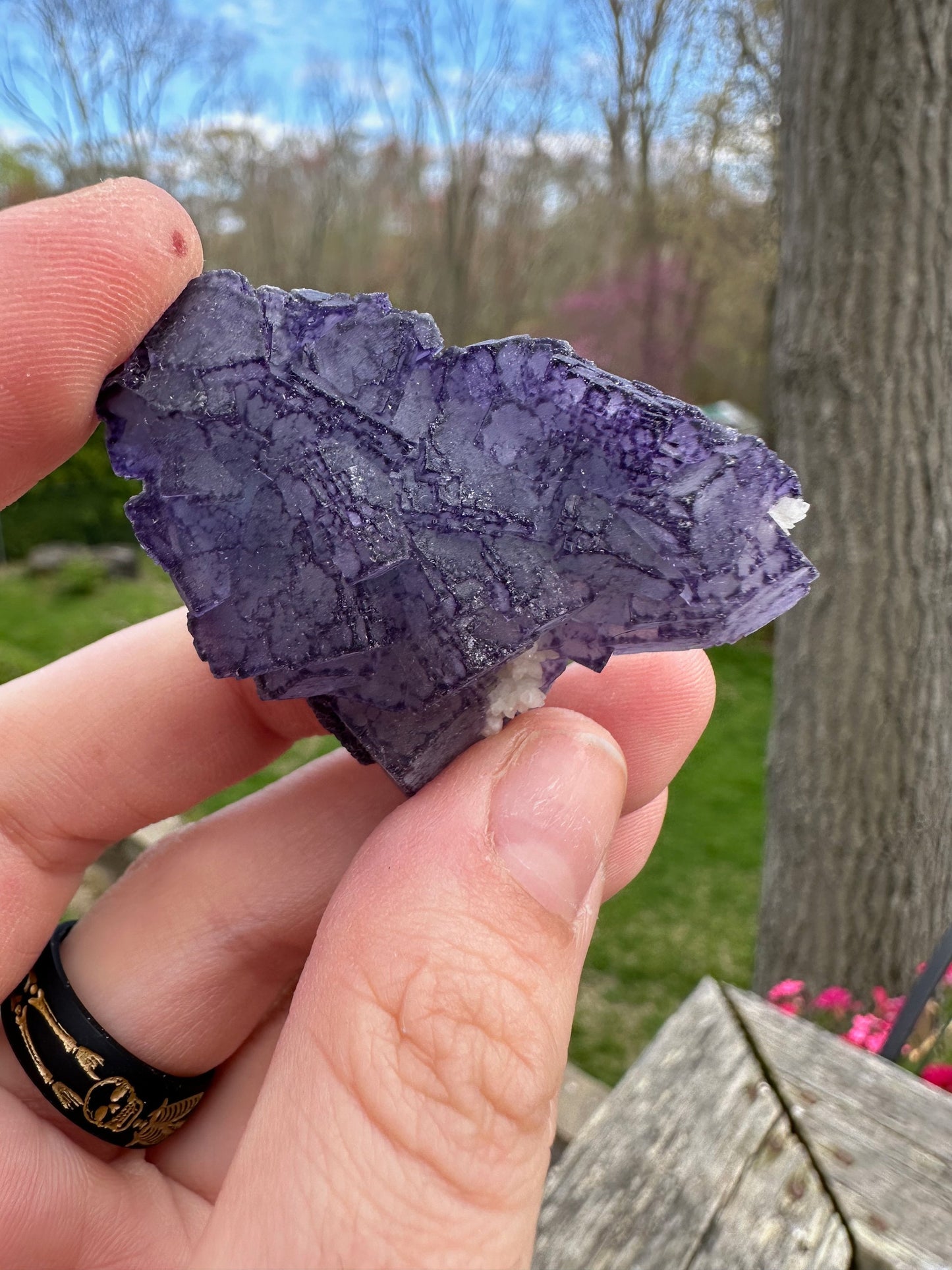 Purple Edge Fluorite Crystal Cluster from Qinglong China