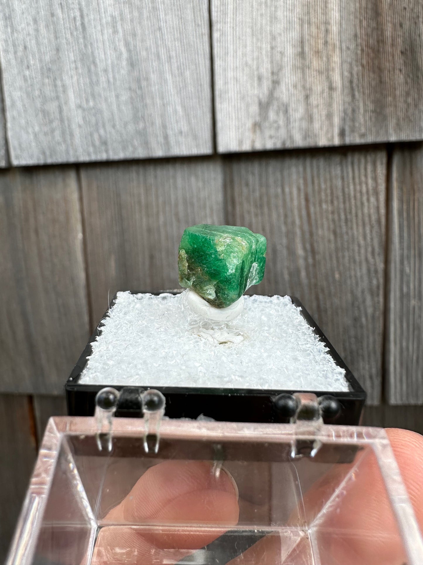 Terminated Emerald Crystal from Pakistan