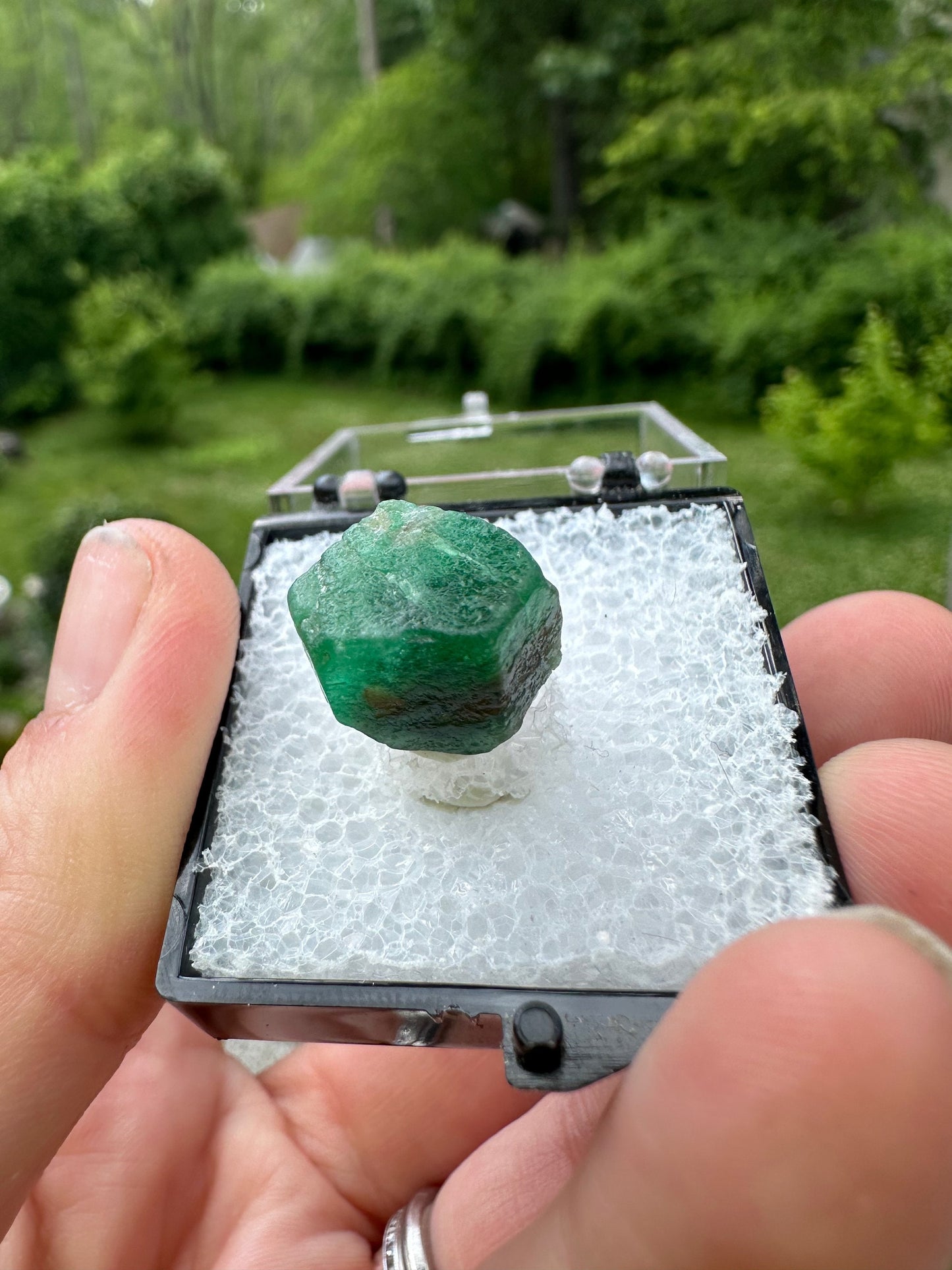 Terminated Emerald Crystal from Pakistan