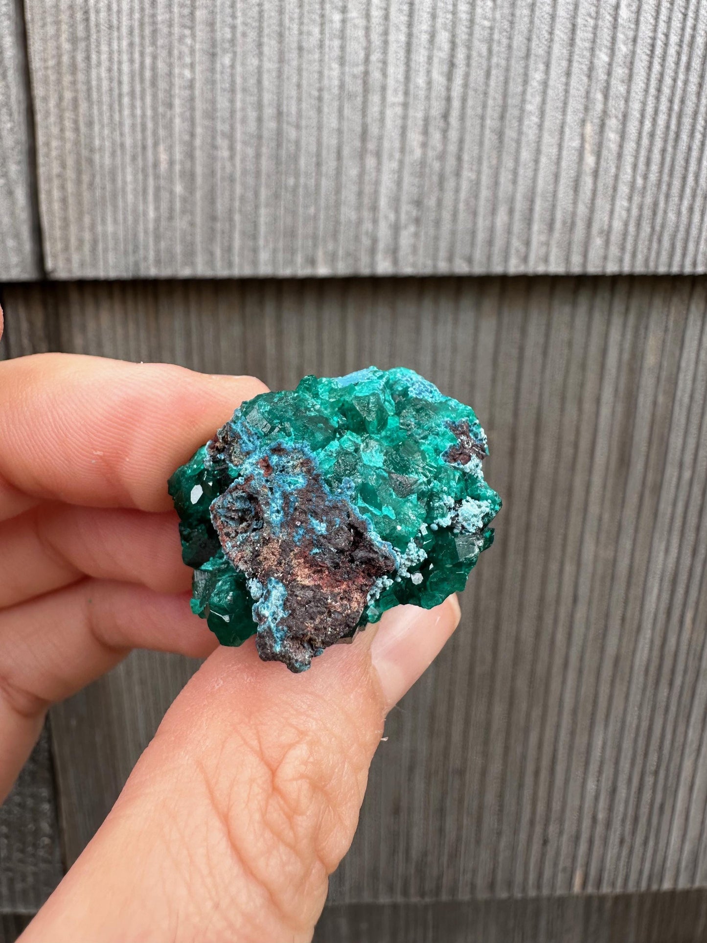 Dioptase with Shattuckite from Congo