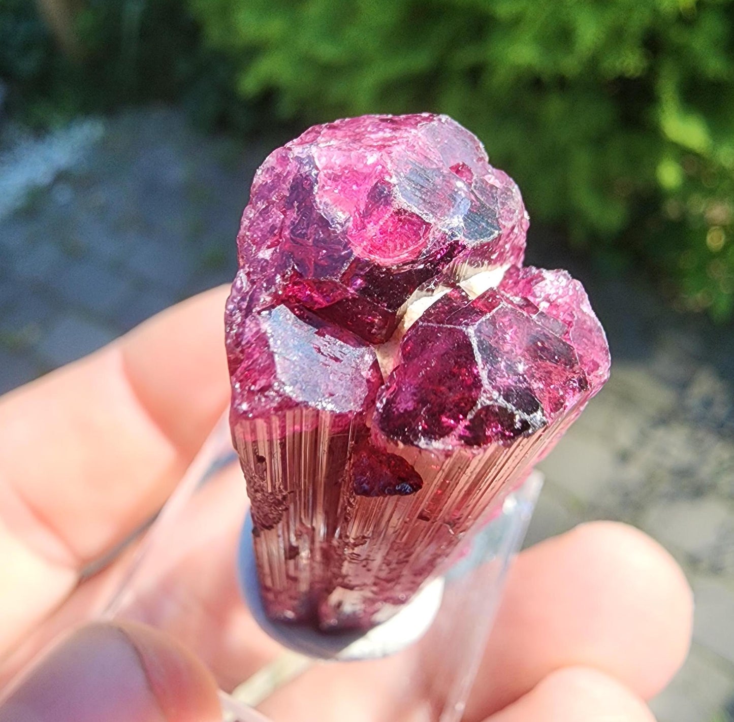 26 Grams Rubellite Tourmaline Crystal from Brazil