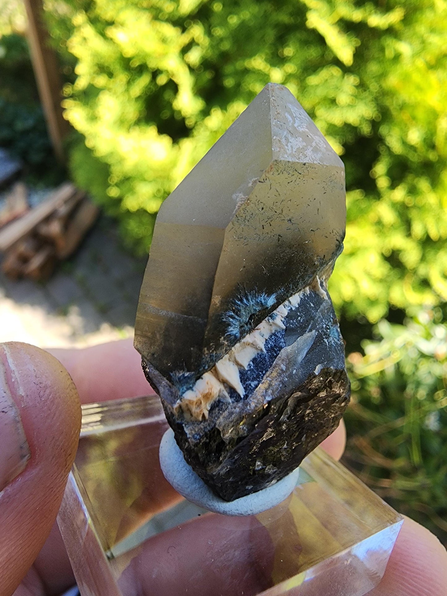 Smoky Quartz Crystal from Erongo, Namibia
