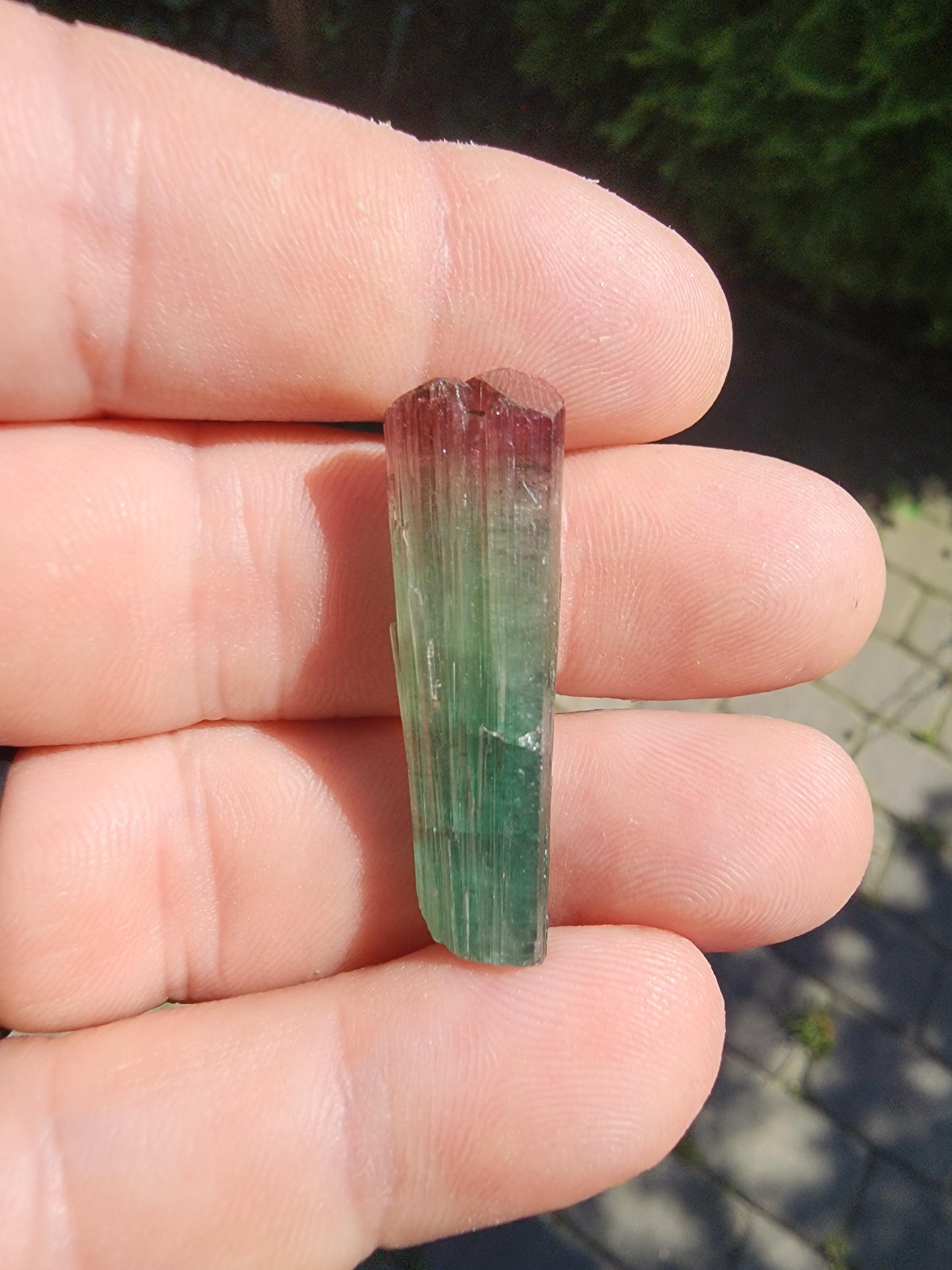 Cruzeiro Lipstick Tourmaline Crystal from Minas Gerais, Brazil