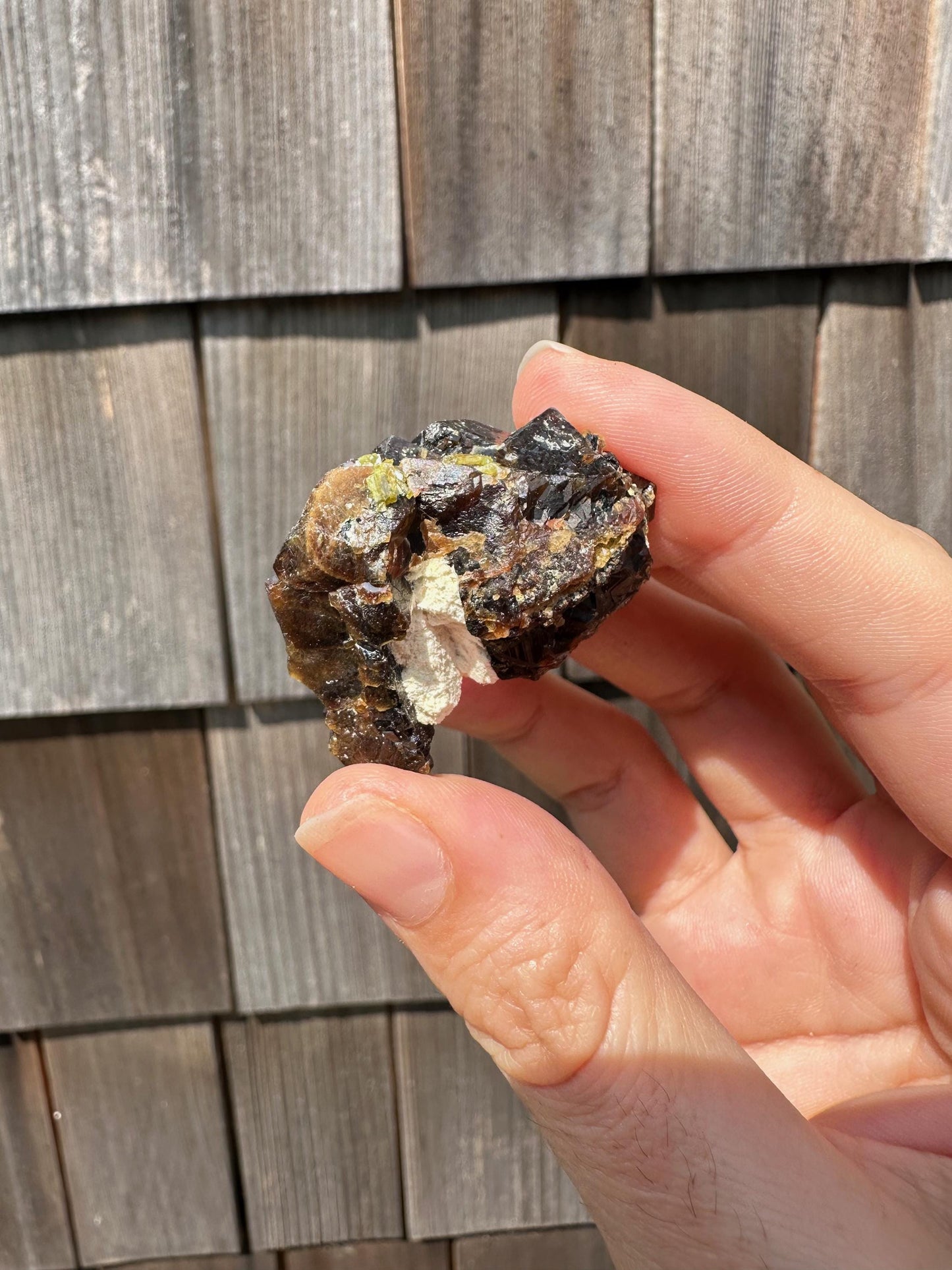 Etched Garnet Cluster with Epidote from Pakistan