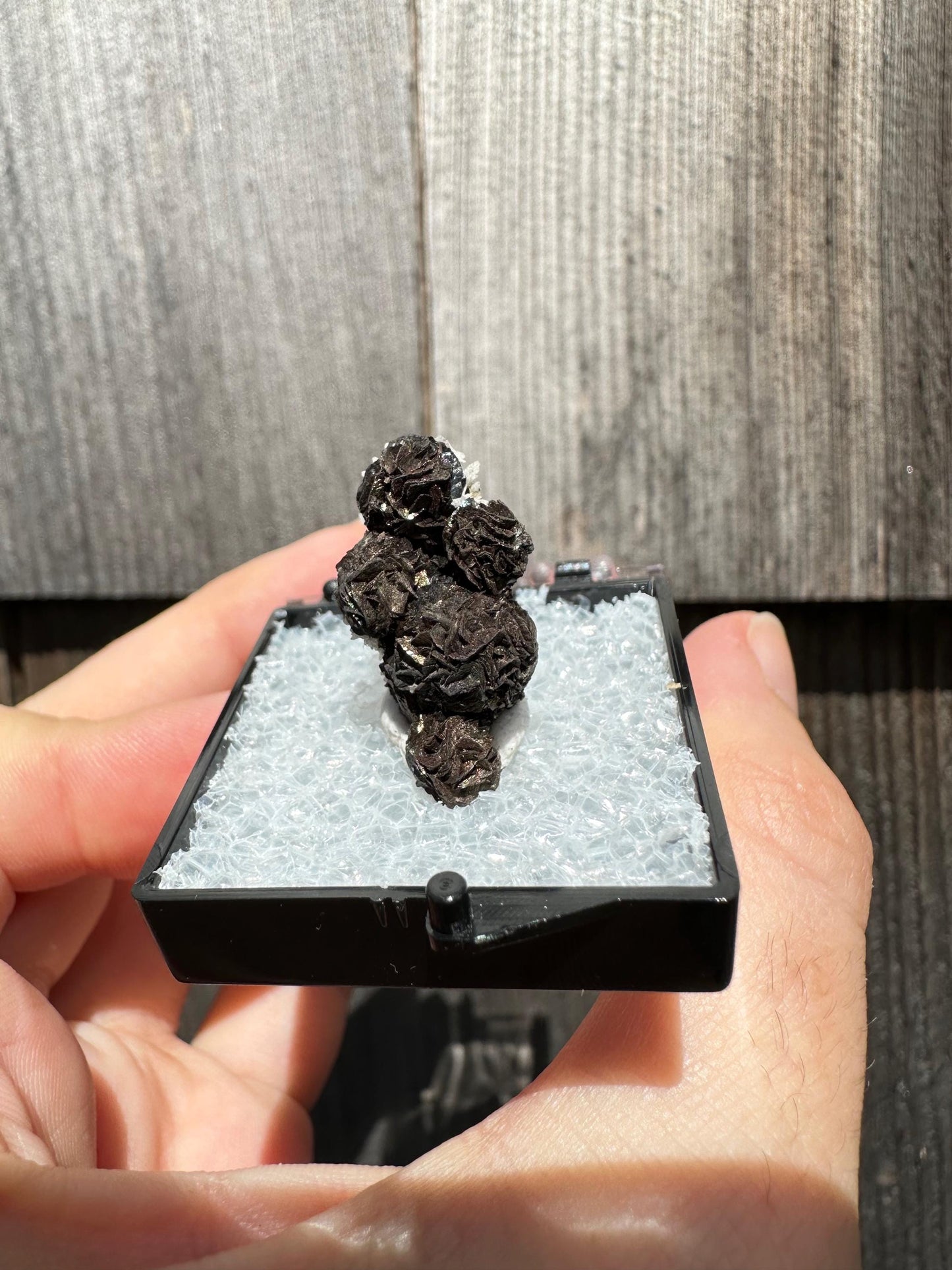 Iridescent Siderite from Potosi Mine, Mexico
