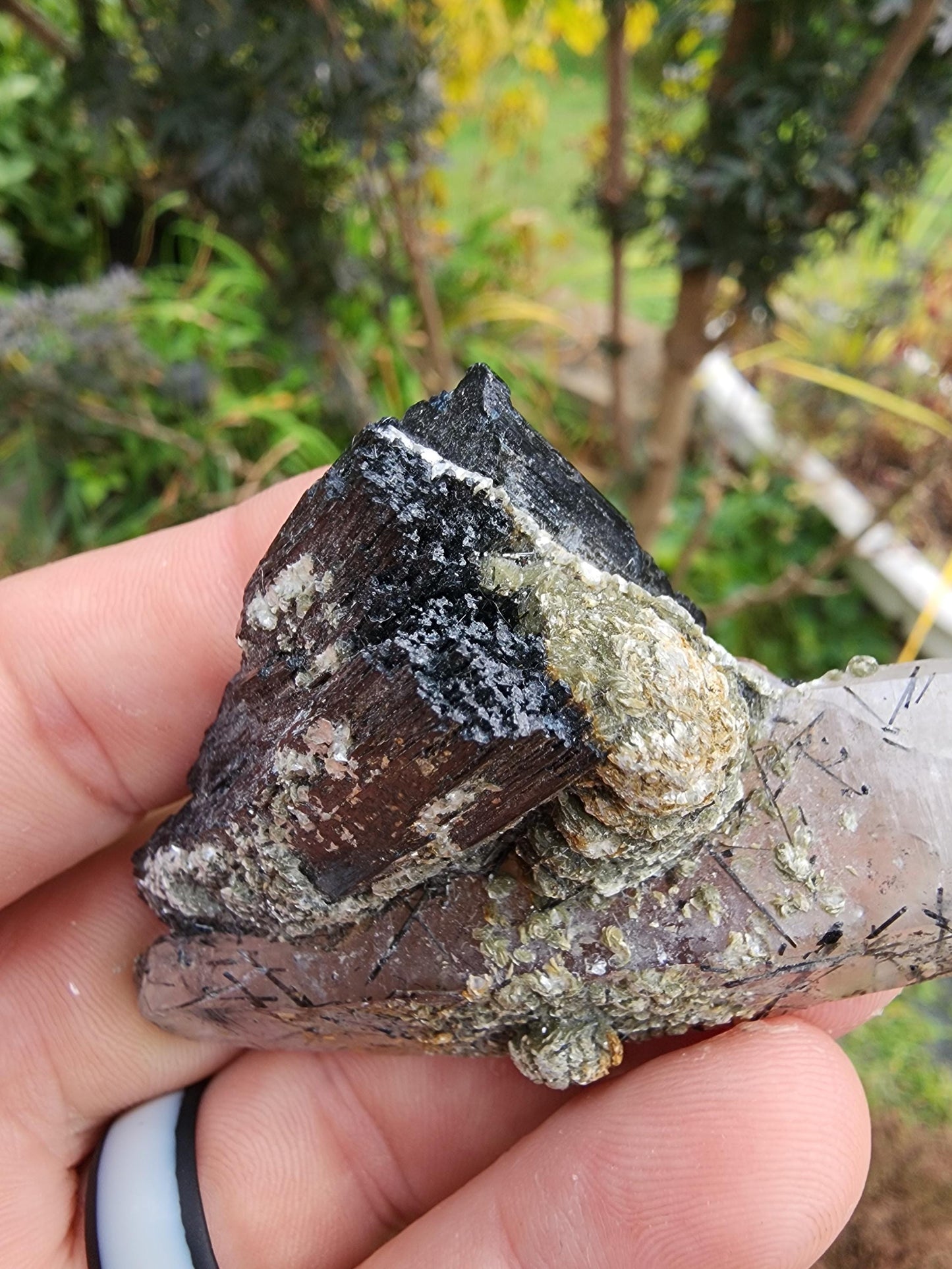 Tourmaline var. Schorl with Muscovite and Quartz