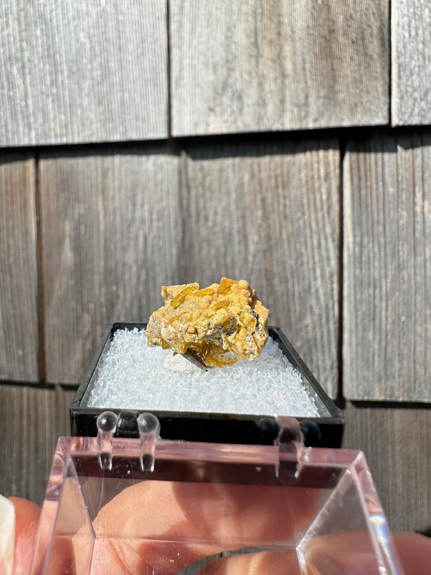 Wulfenite with Mimetite from San Francisco Mine Mexico