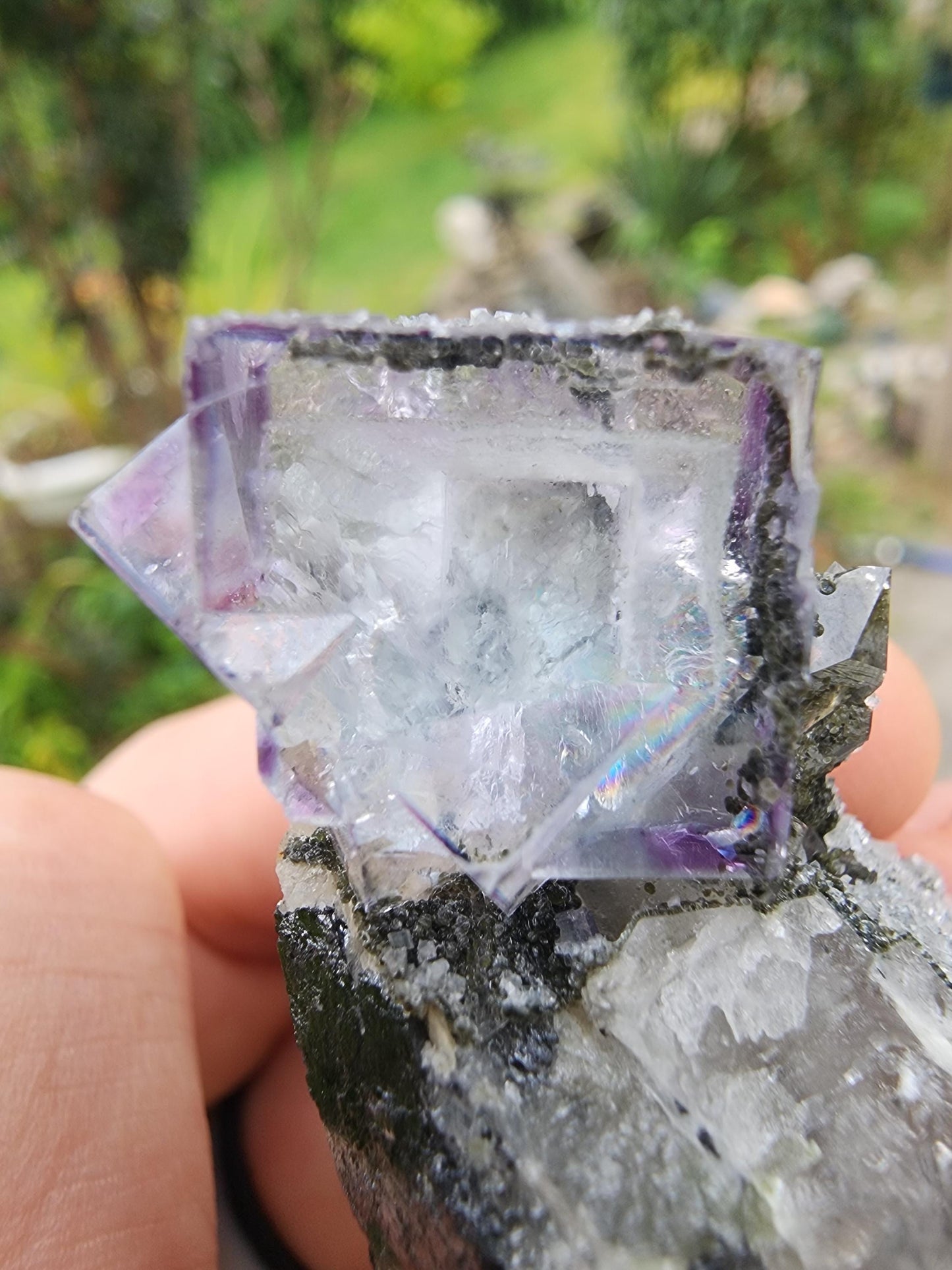 YGX Phantom Fluorite Cluster from China