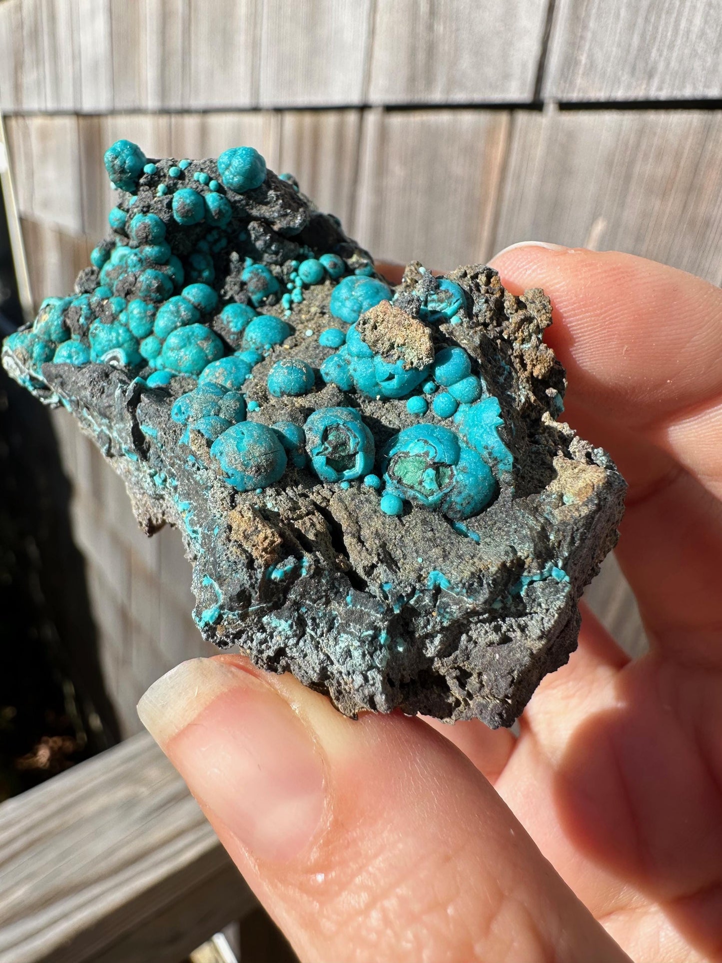 Chrysocolla on Matrix from Planet Mine Arizona USA