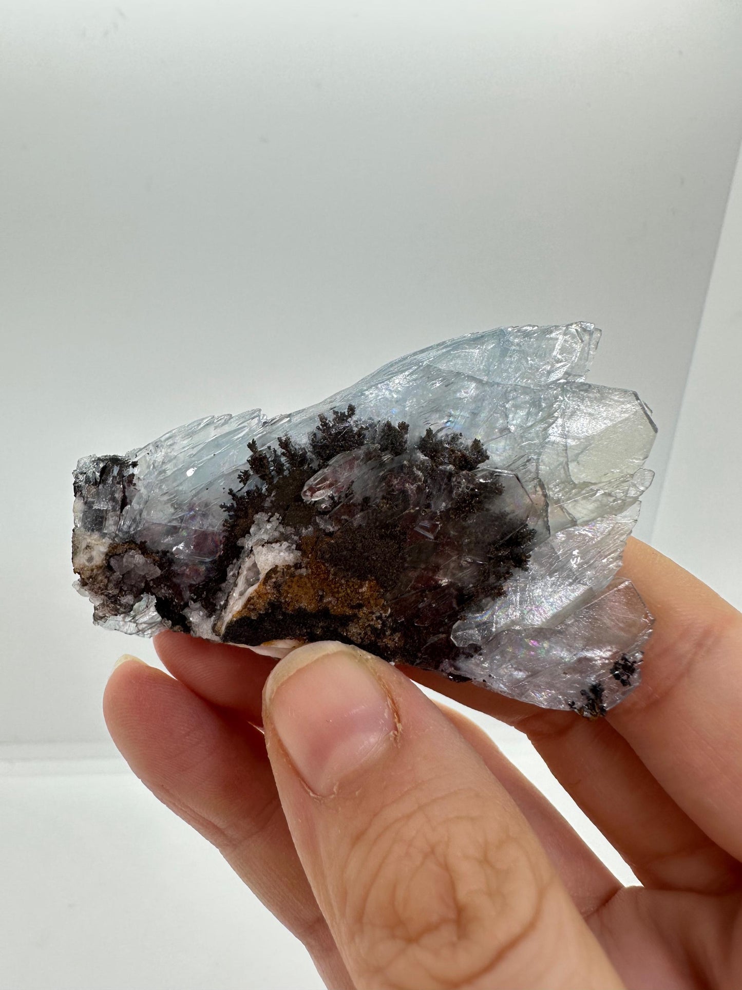 Blue Barite Cluster from Morocco