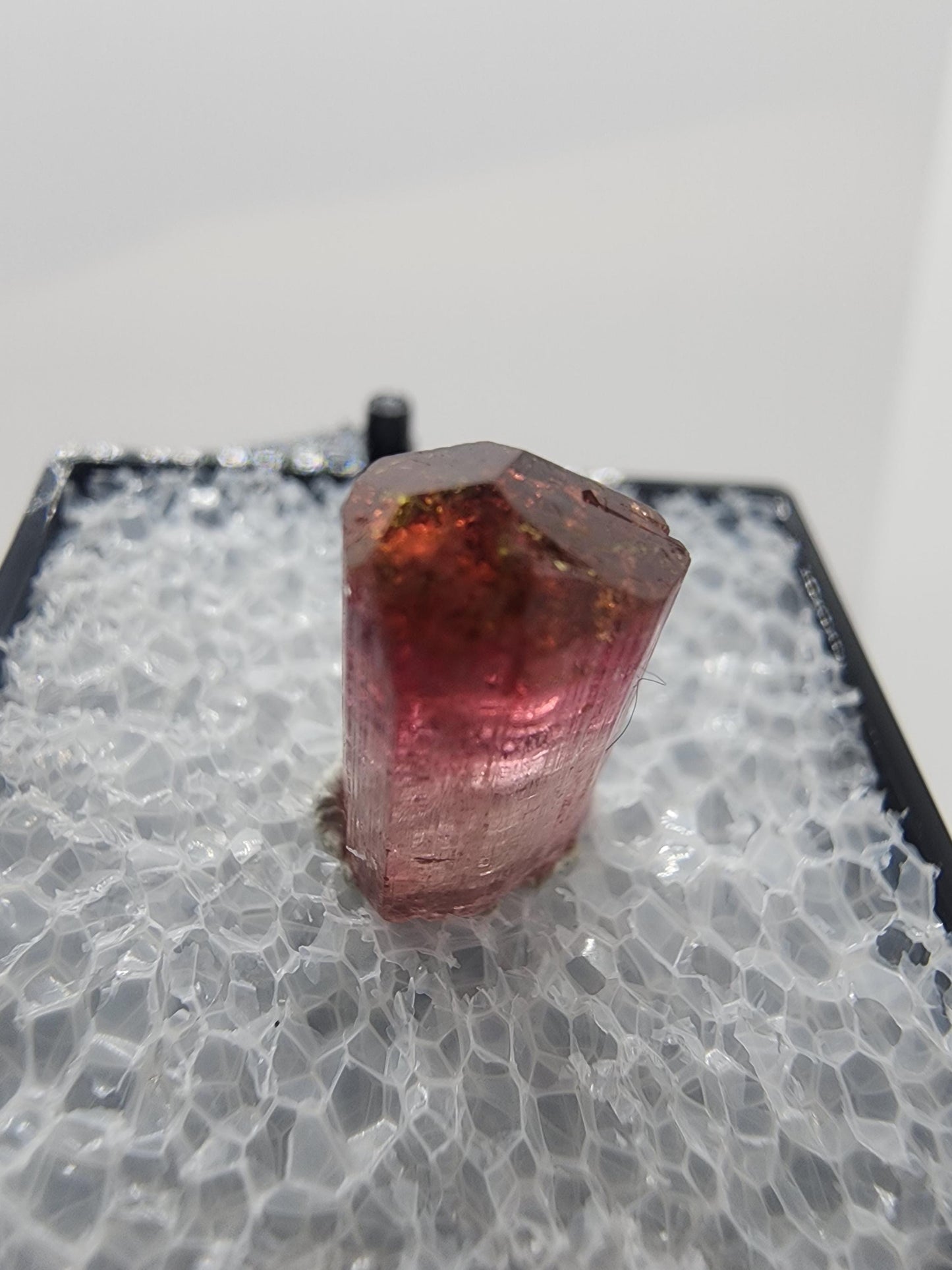 Cruzeiro 2024 Lipstick Tourmaline from Minas Gerais, Brazil