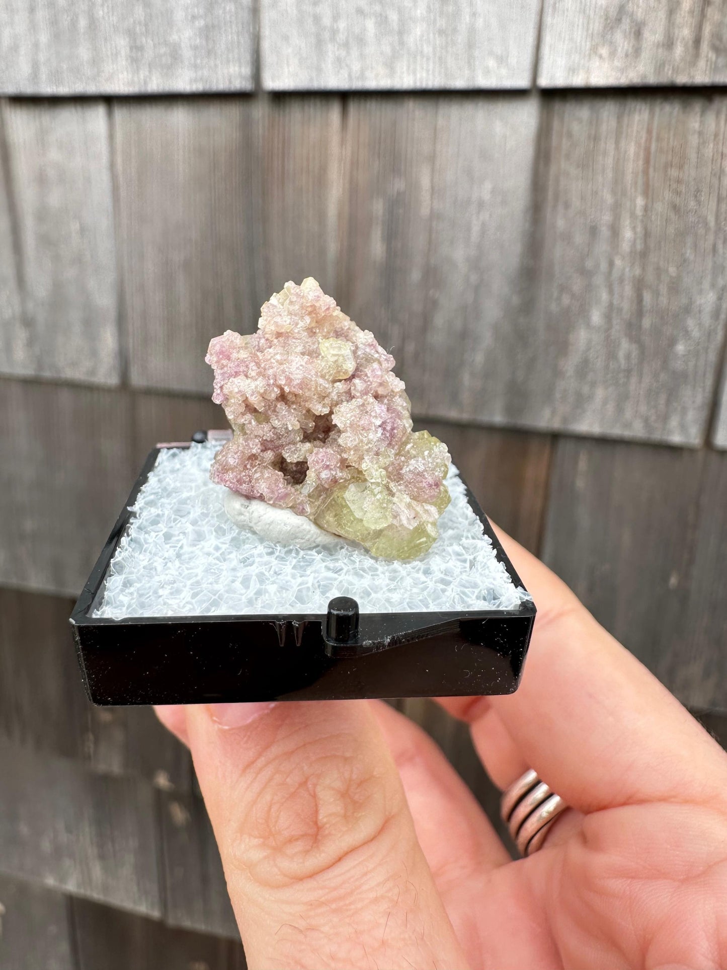Bicolor Vesuvianite Crystal Cluster from Jeffrey Mine Canada