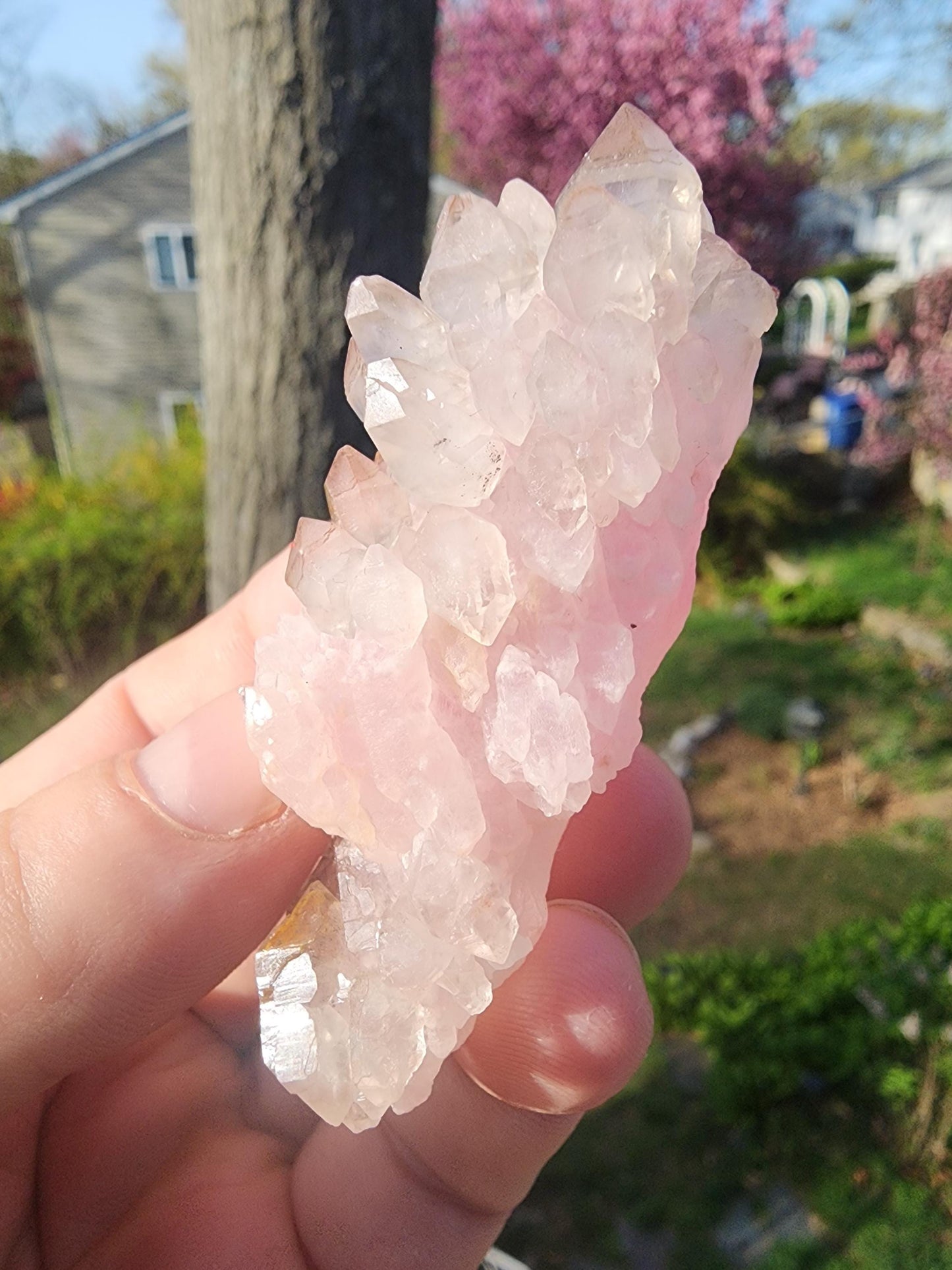 Crystallized Elestial Rose Quartz Cluster on Quartz from Pitorra Mine, Brazil