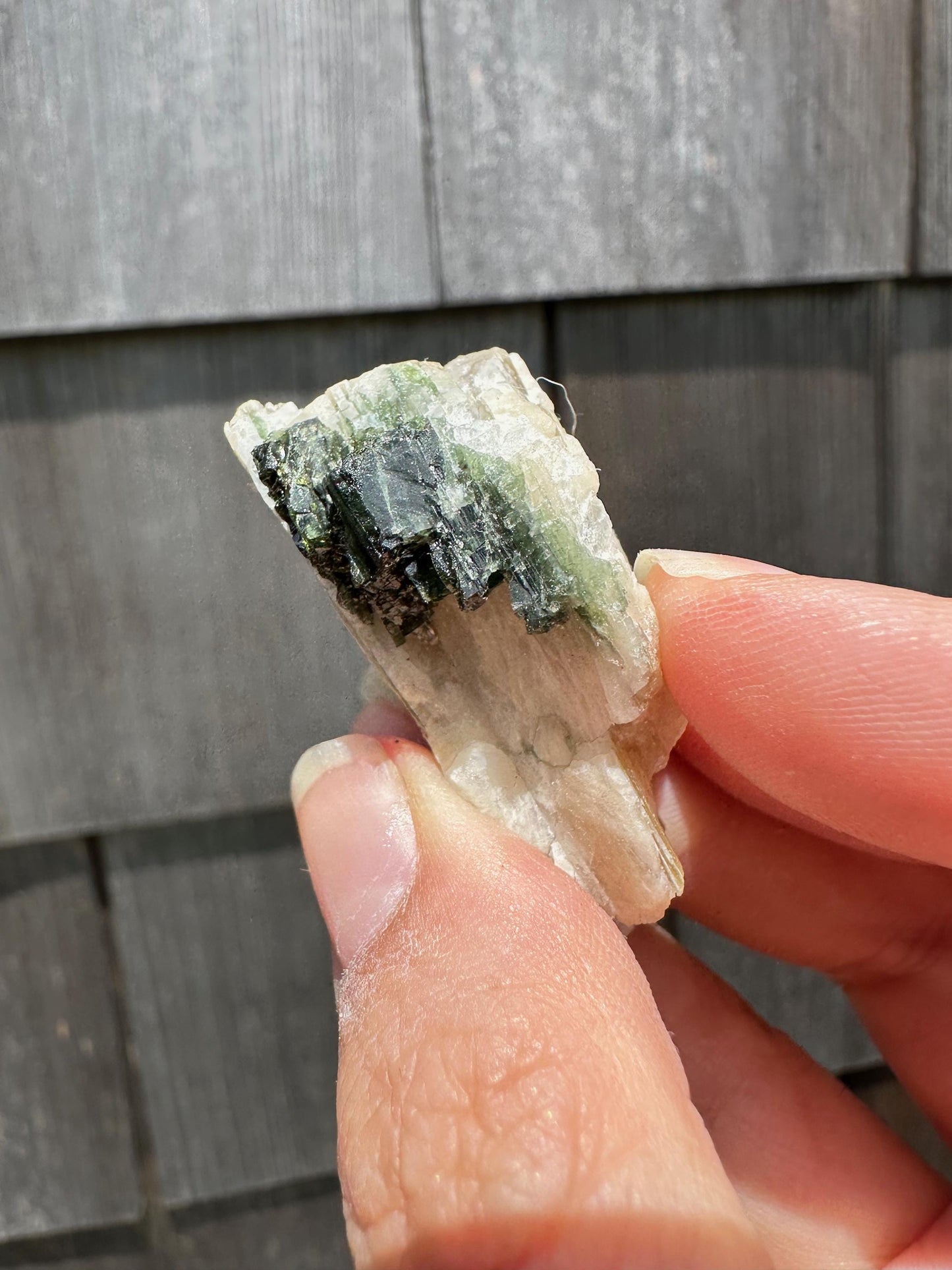 Tourmaline in Mica from Minas Gerais, Brazil
