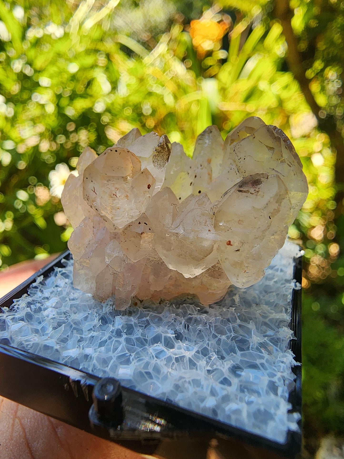 Pitorra Claim Rose Quartz (Canga Rosa) from Minas Gerais, Brazil