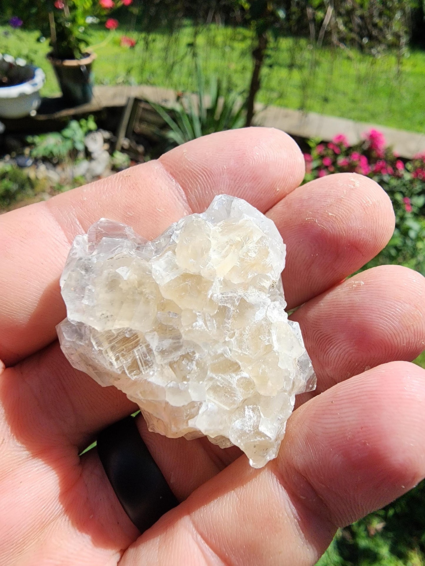Marcasite Included Calcite from Linwood Mine Iowa USA