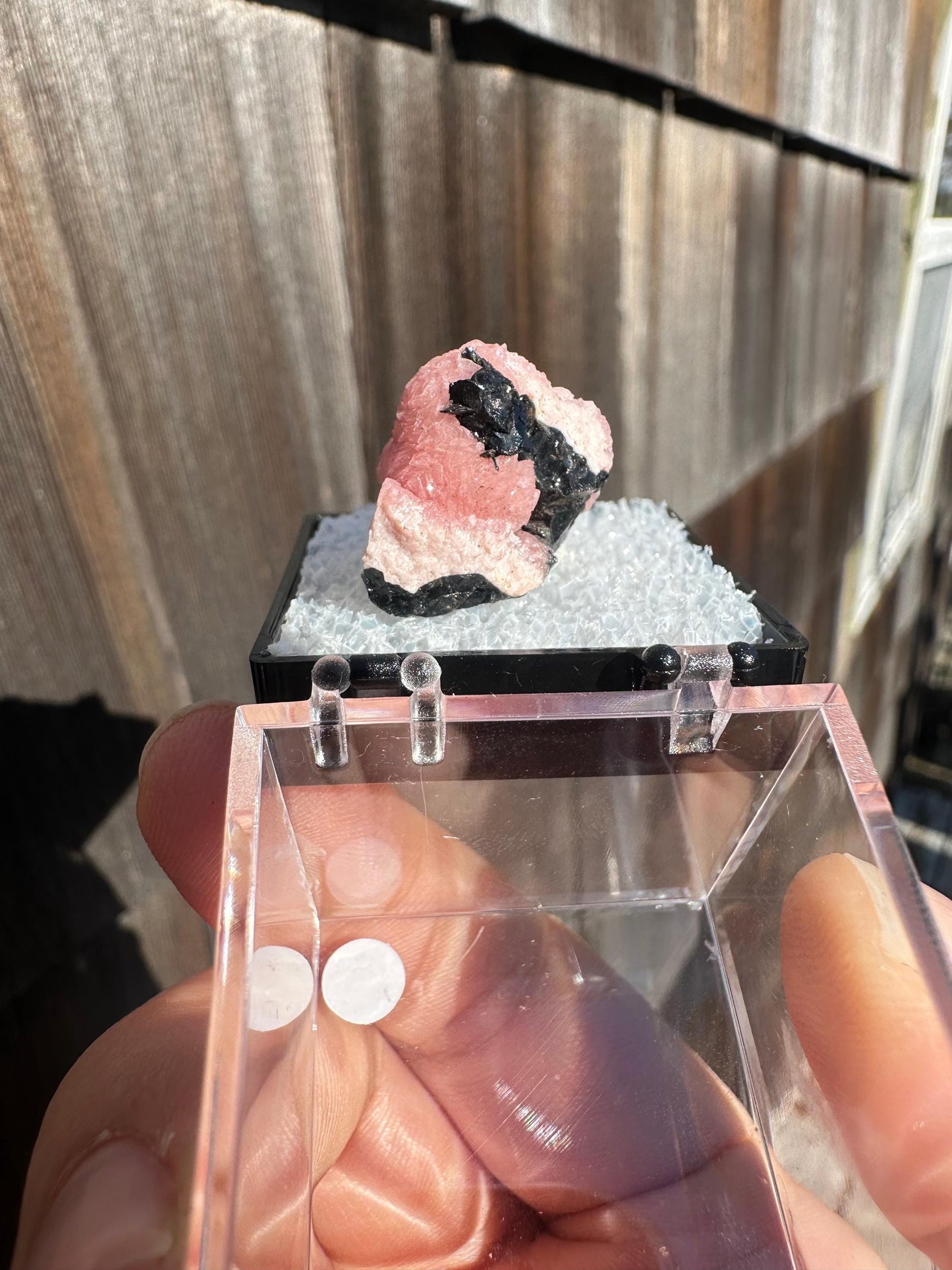 Botryoidal Rhodochrosite from Potosi Mine, Mexico