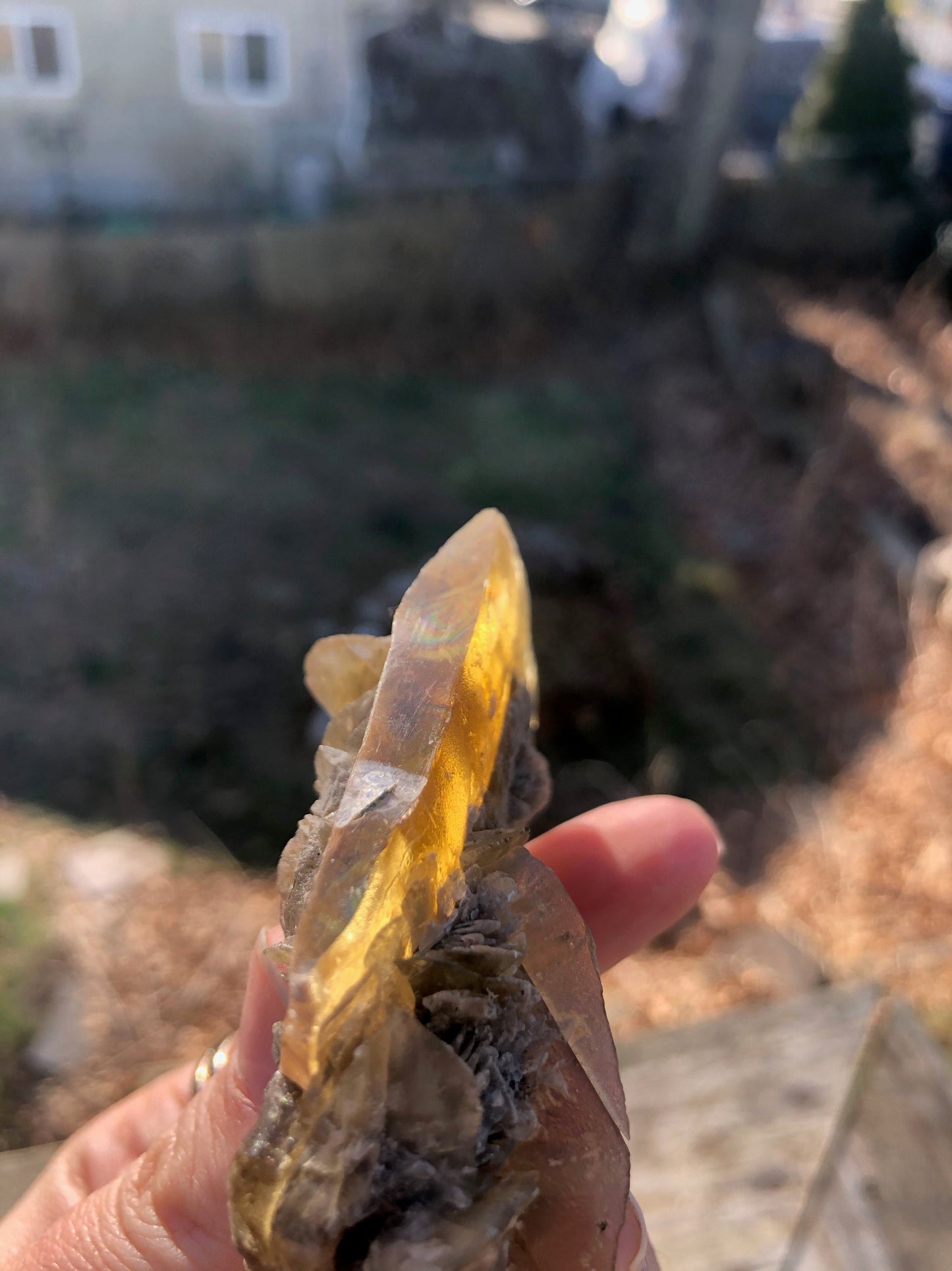 Golden Selenite Crystal from Texas USA