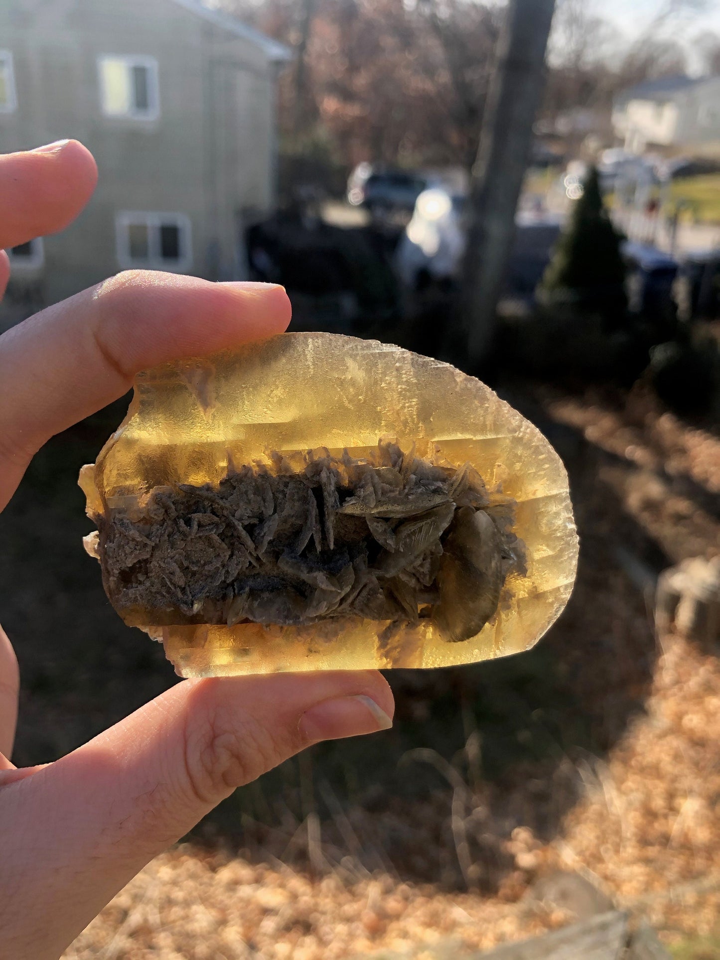 Golden Selenite Crystal from Texas USA
