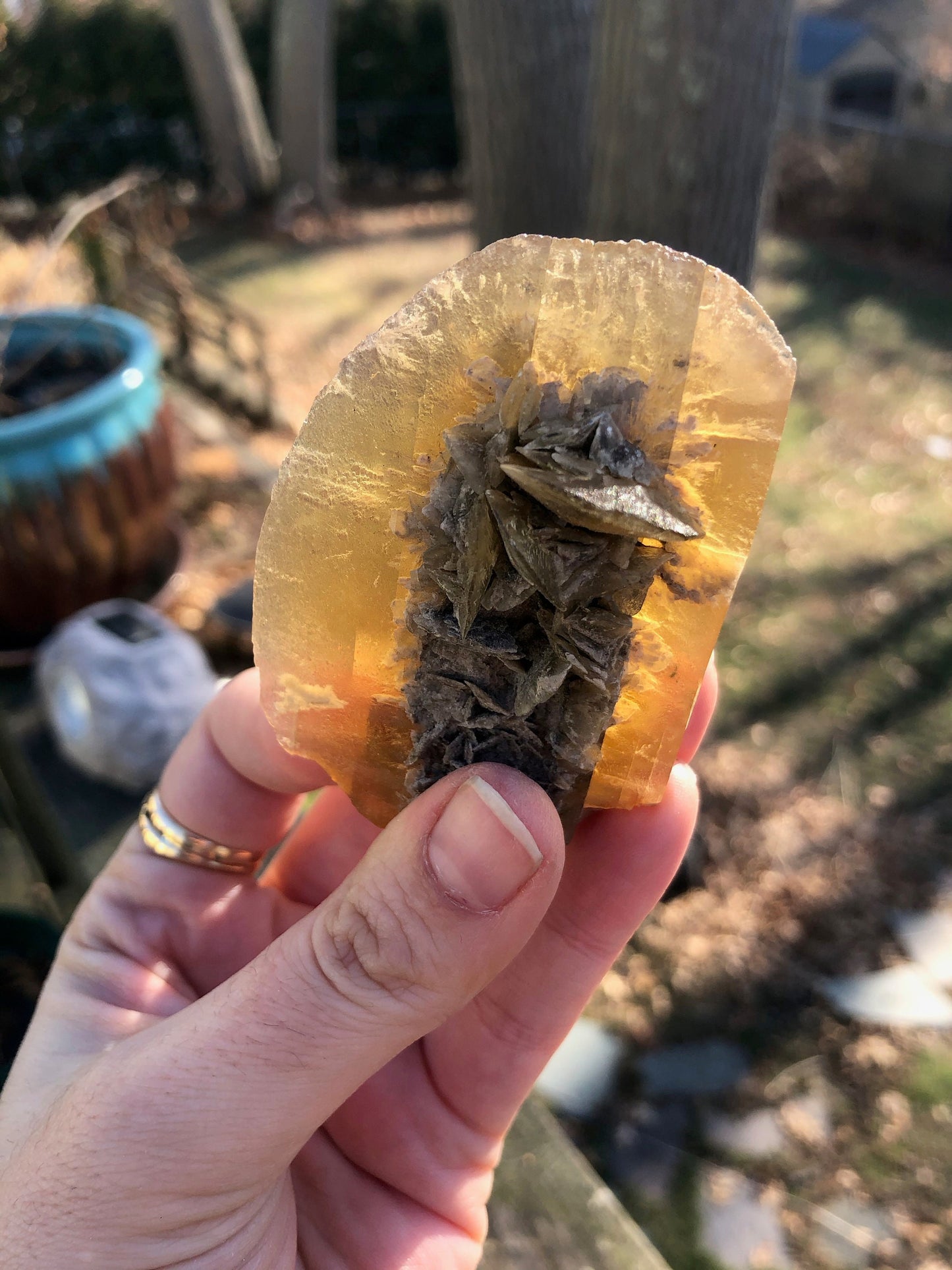 Golden Selenite Crystal from Texas USA