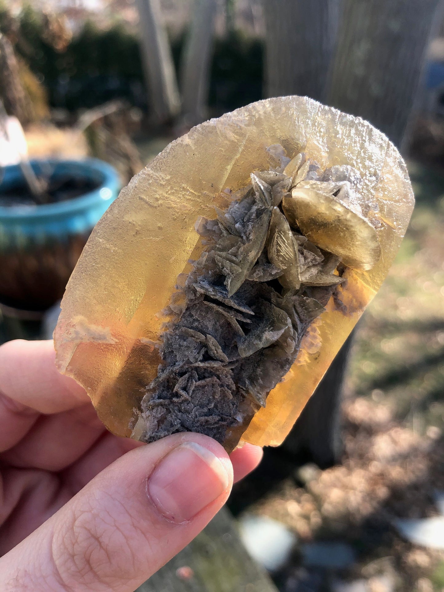 Golden Selenite Crystal from Texas USA