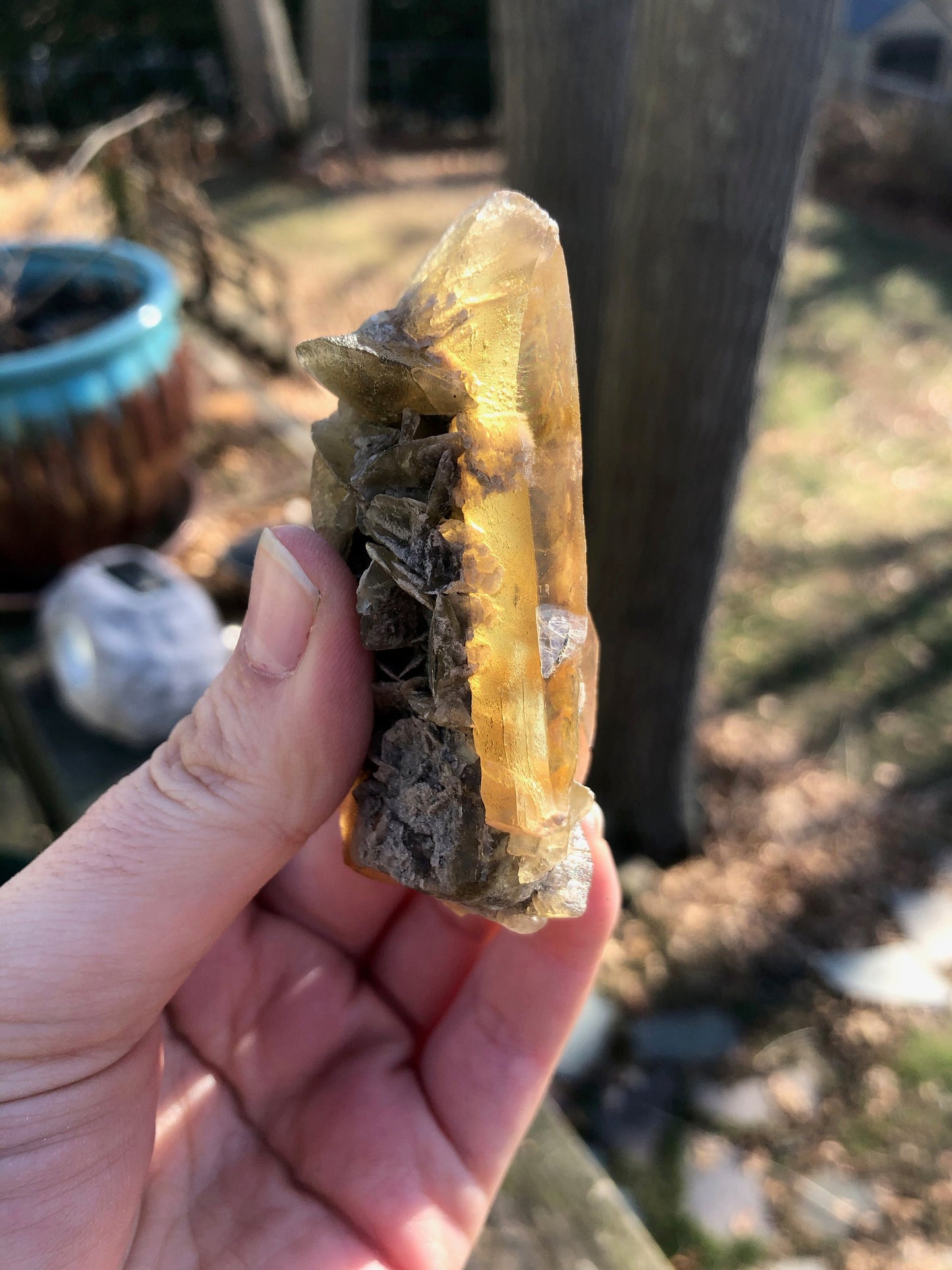 Golden Selenite Crystal from Texas USA