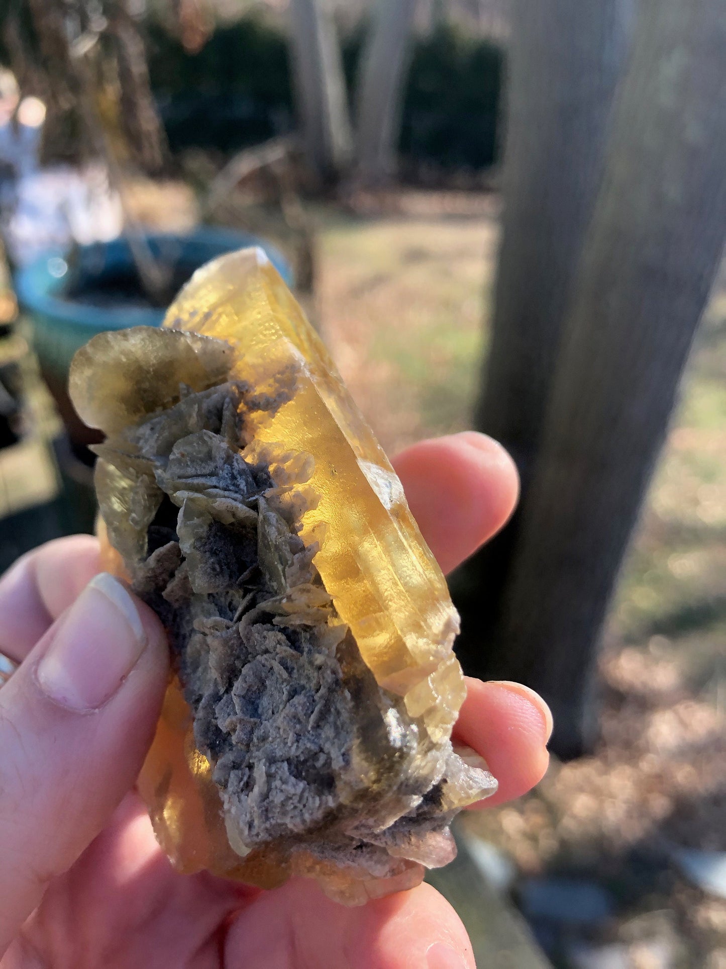 Golden Selenite Crystal from Texas USA