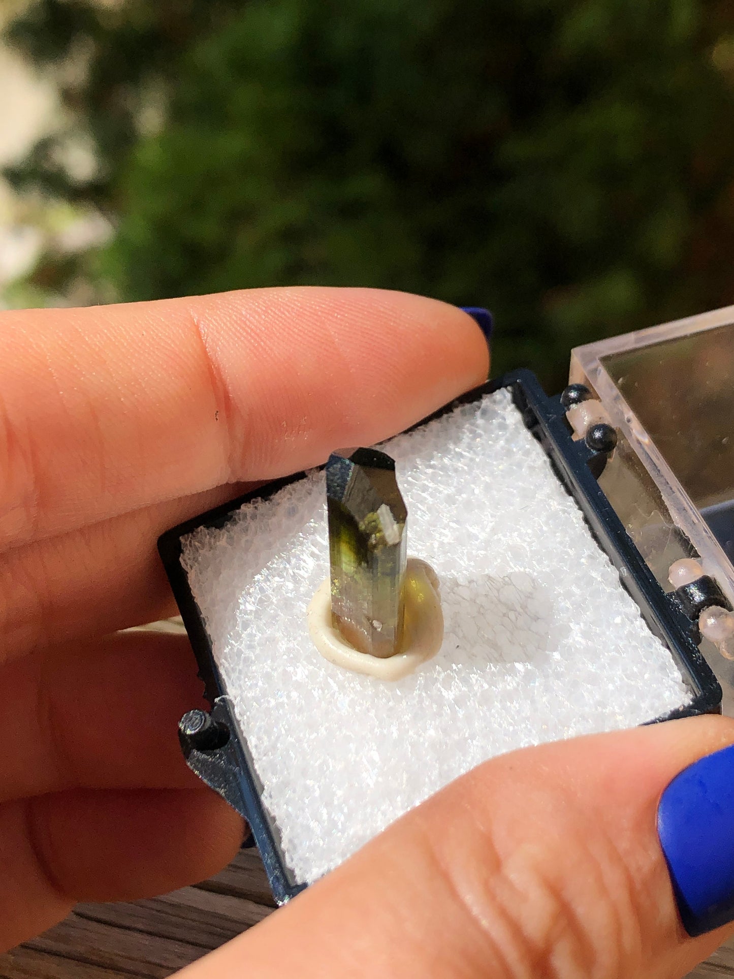 Elbaite Tourmaline Crystal from Barra De Salinas Brazil
