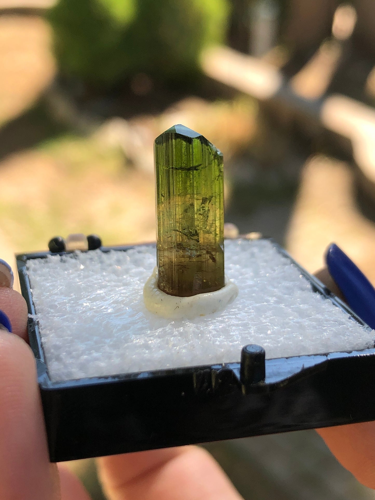 Elbaite Tourmaline Crystal from Barra De Salinas Brazil
