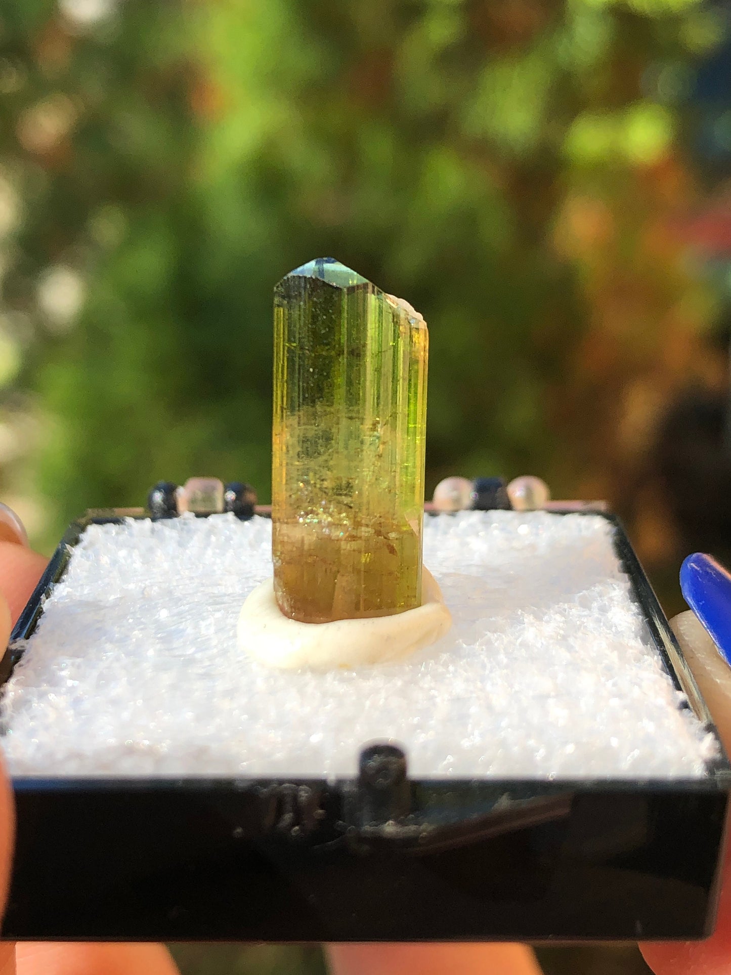 Elbaite Tourmaline Crystal from Barra De Salinas Brazil