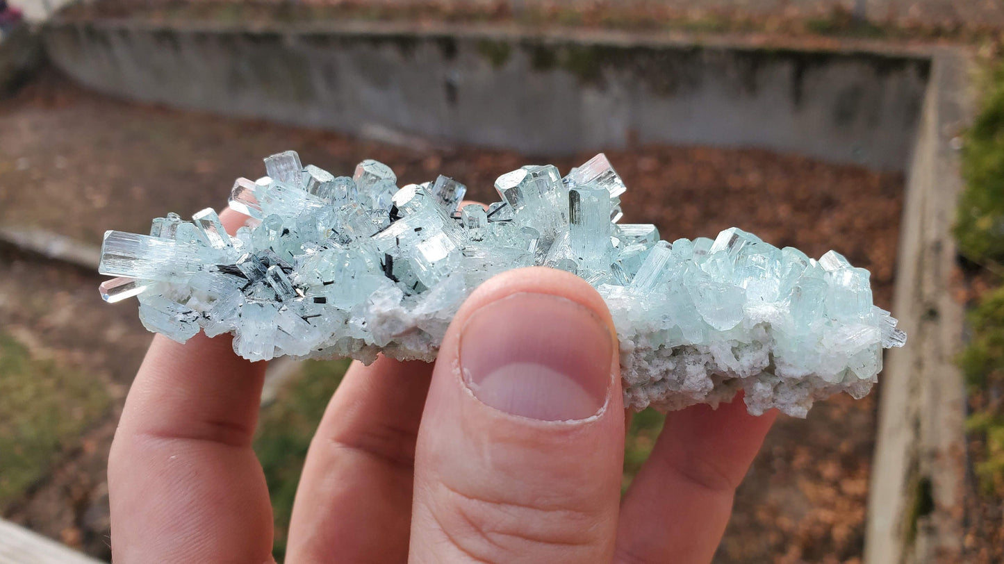 Aquamarine with Black Tourmaline from Erongo Mountains, Namibia