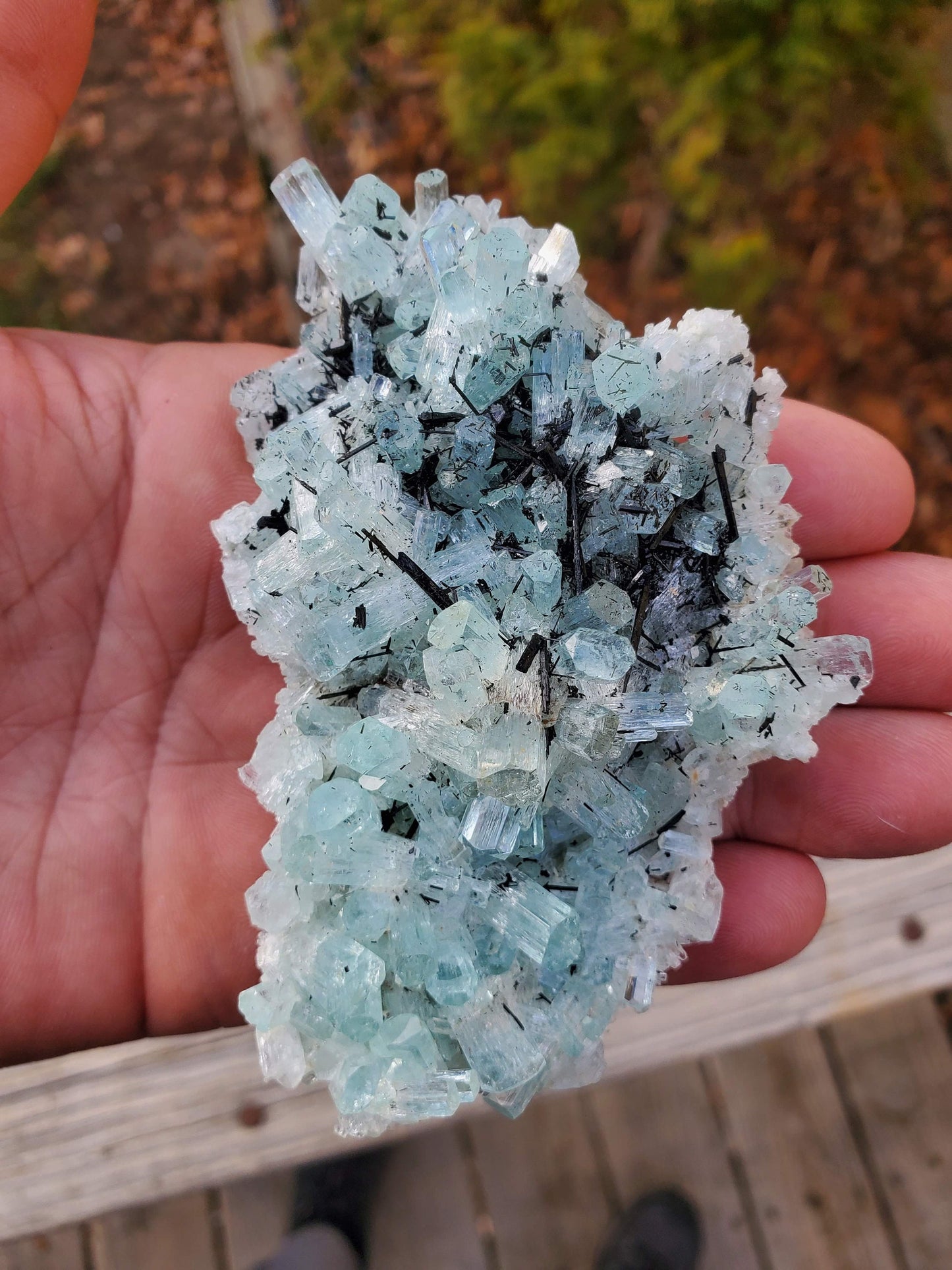 Aquamarine with Black Tourmaline from Erongo Mountains, Namibia